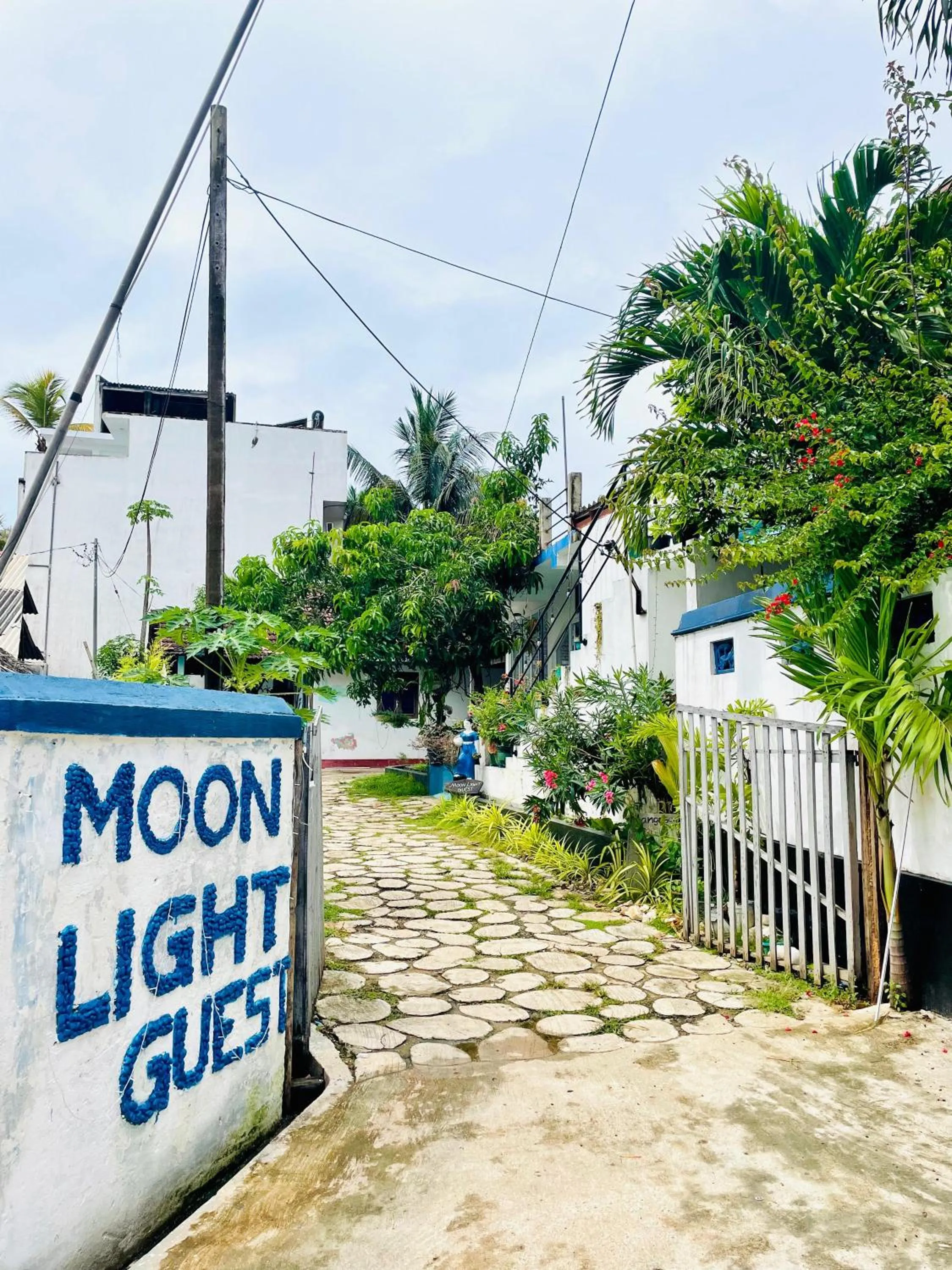 Moon Light Guest