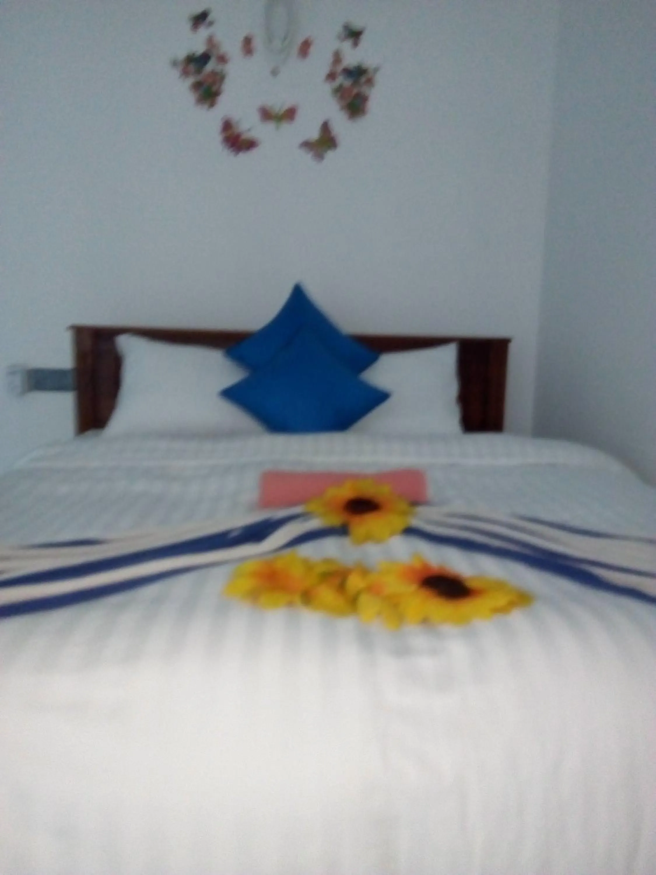 Bed in Moon Light Guest