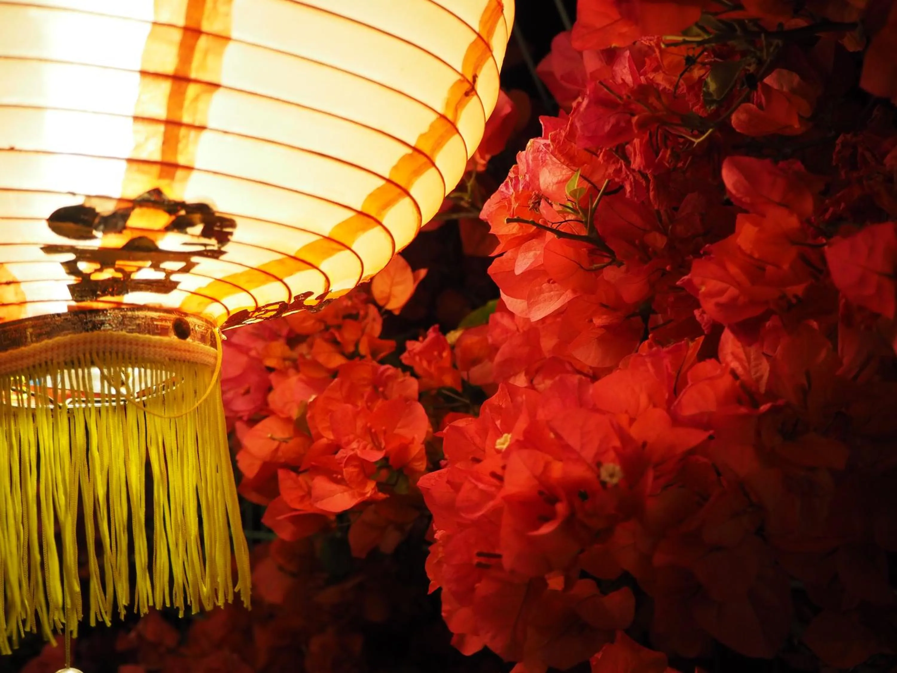 Evening entertainment in Hotel Murasakimura