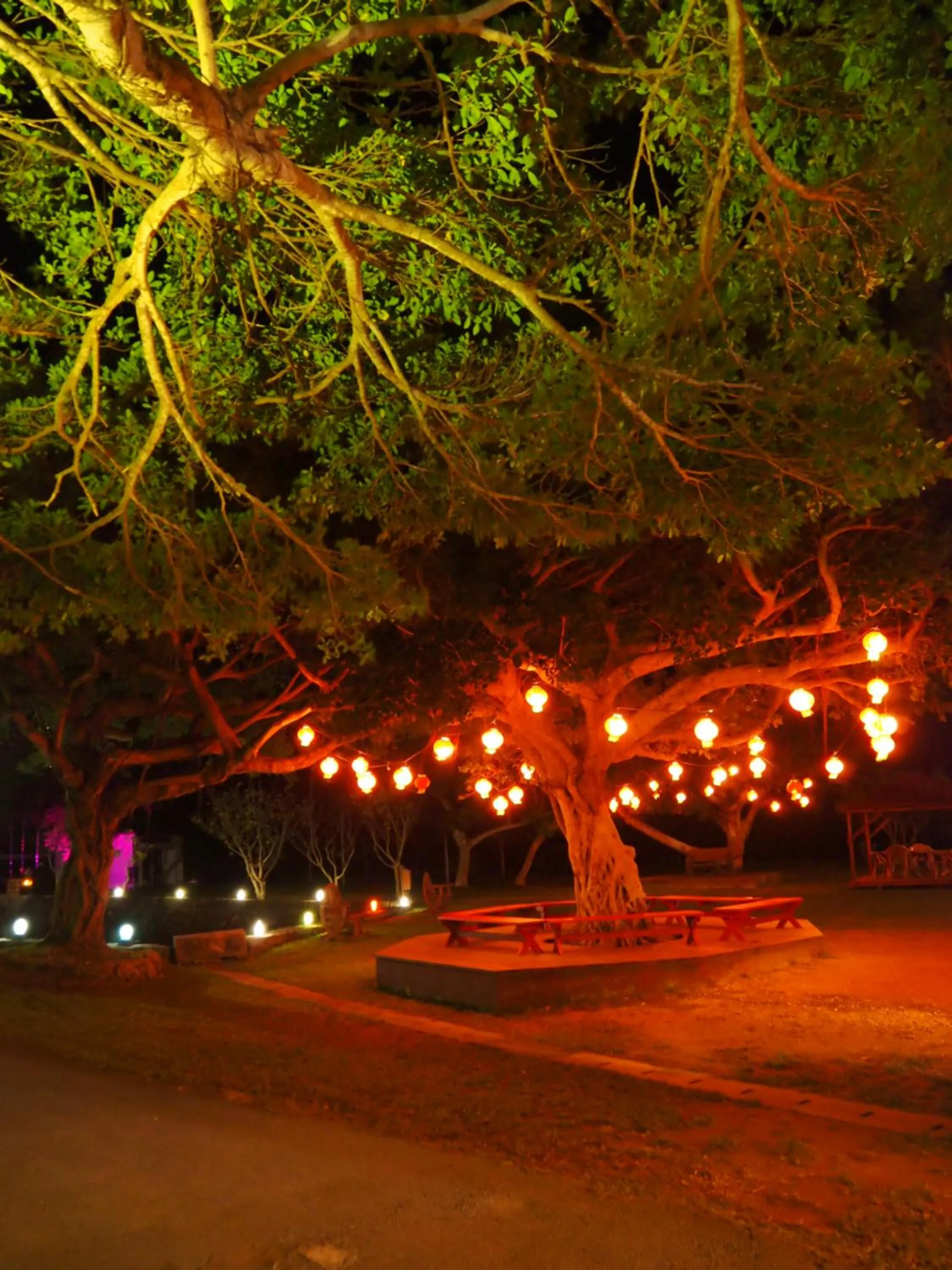 Evening entertainment in Hotel Murasakimura