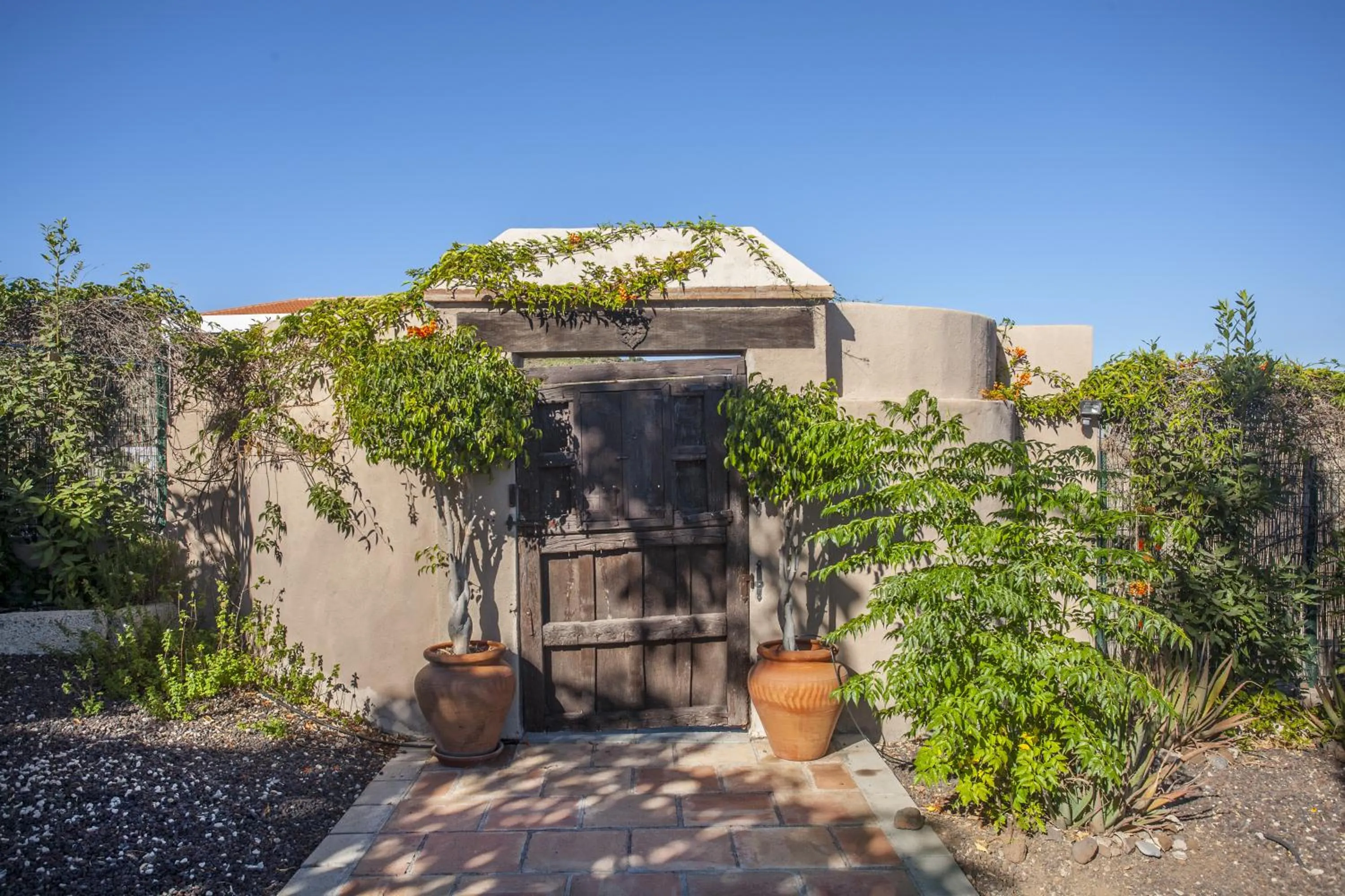 Garden in Eco Finca Vista Bonita
