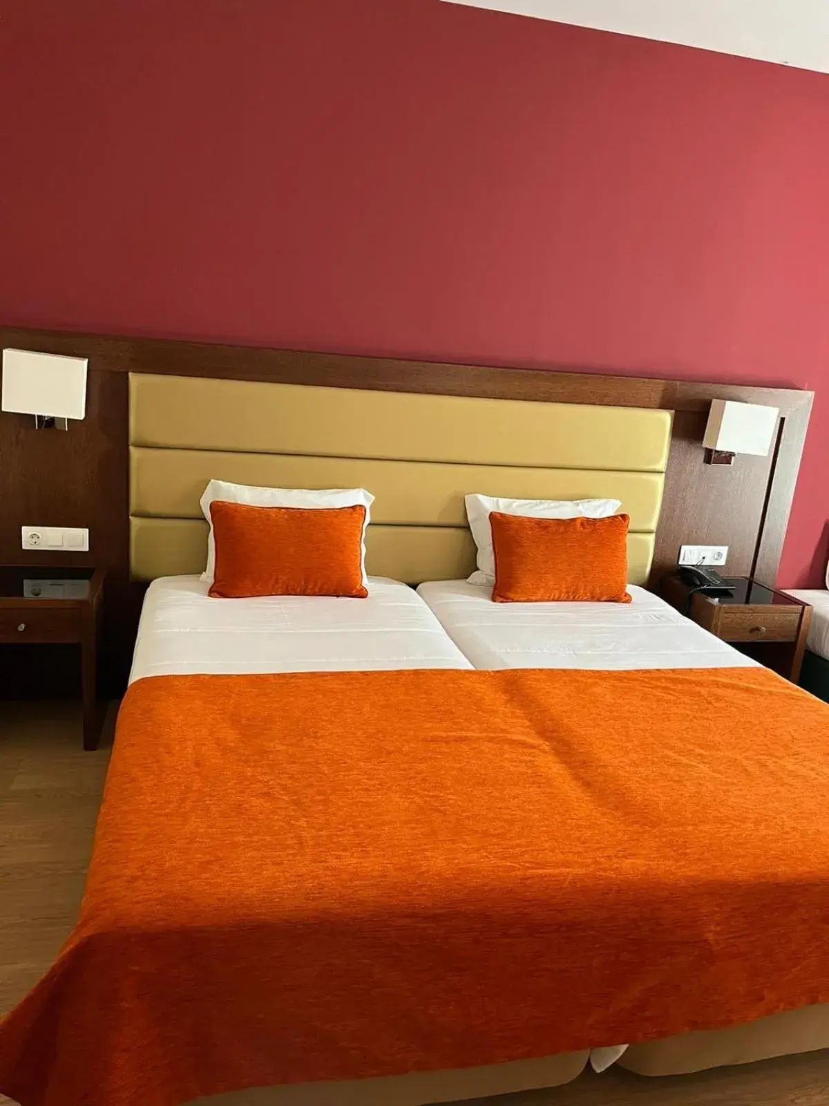 Standard Twin Room - single occupancy in Palace Hotel & SPA Termas do Bicanho Standard Twin Room - single occupancy in Palace Hotel & SPA Termas do Bicanho