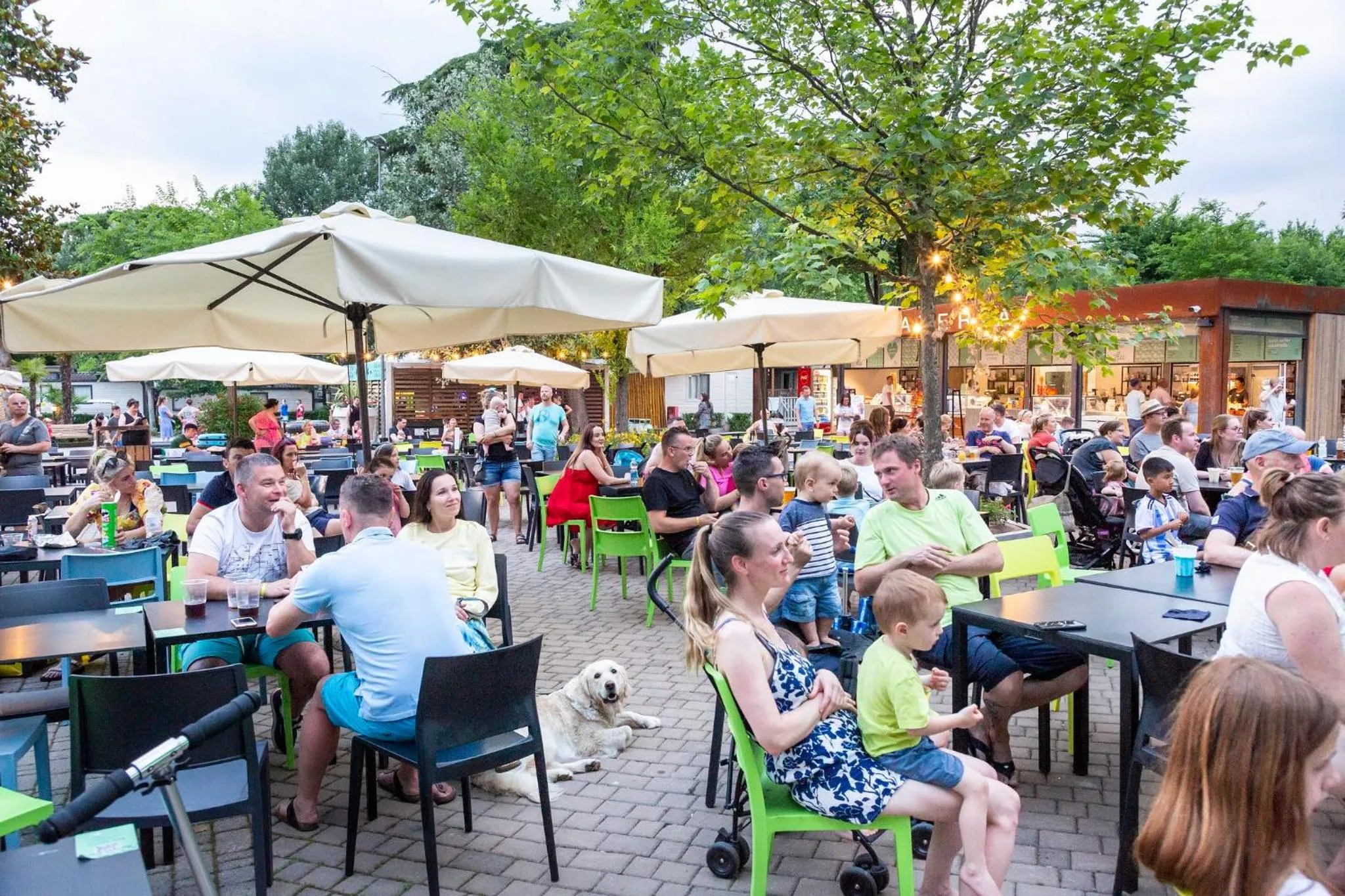 Evening entertainment in Hotel La Diga Altomincio