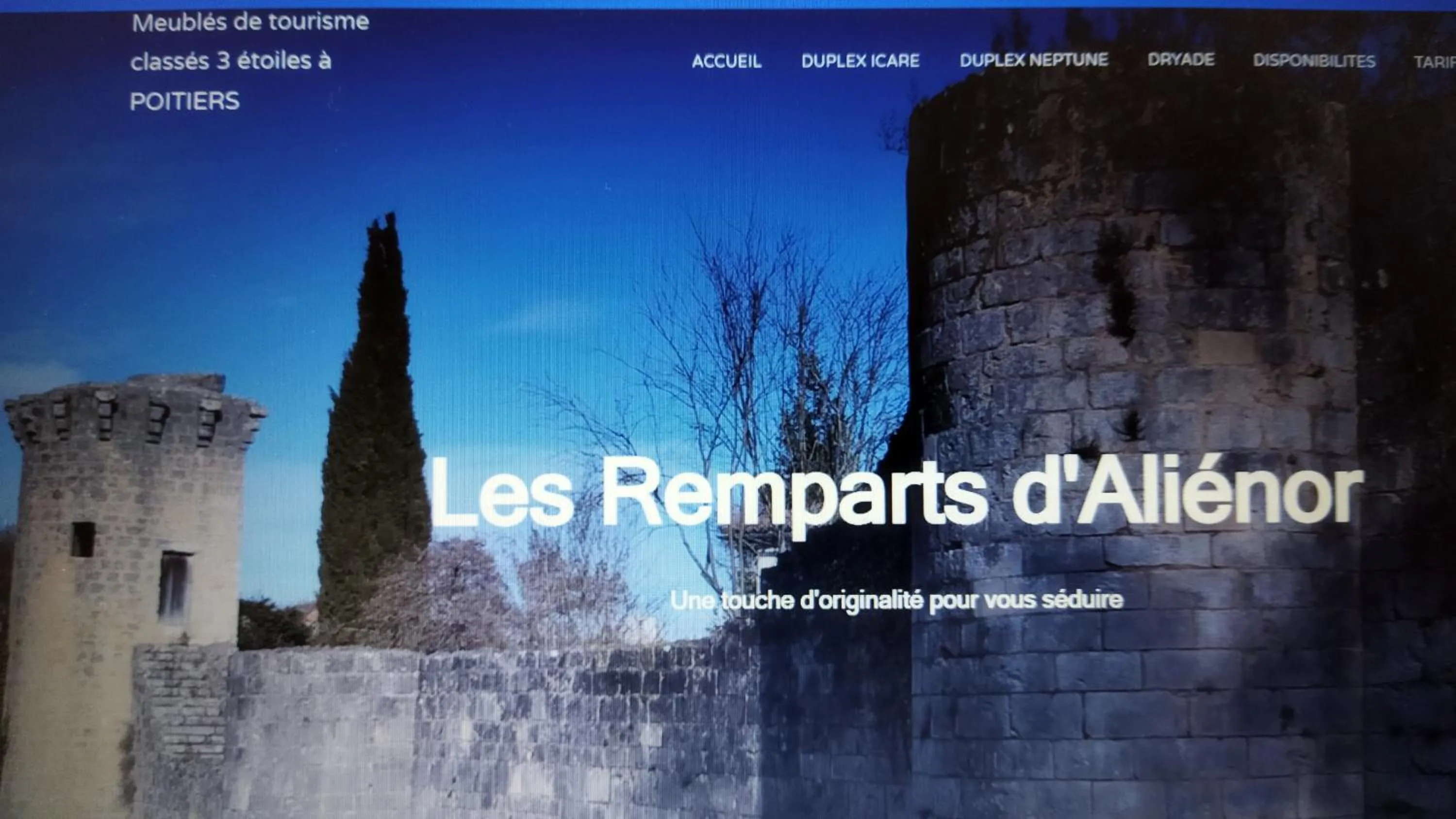 View (from property/room) in Appartements Les remparts d'Alienor