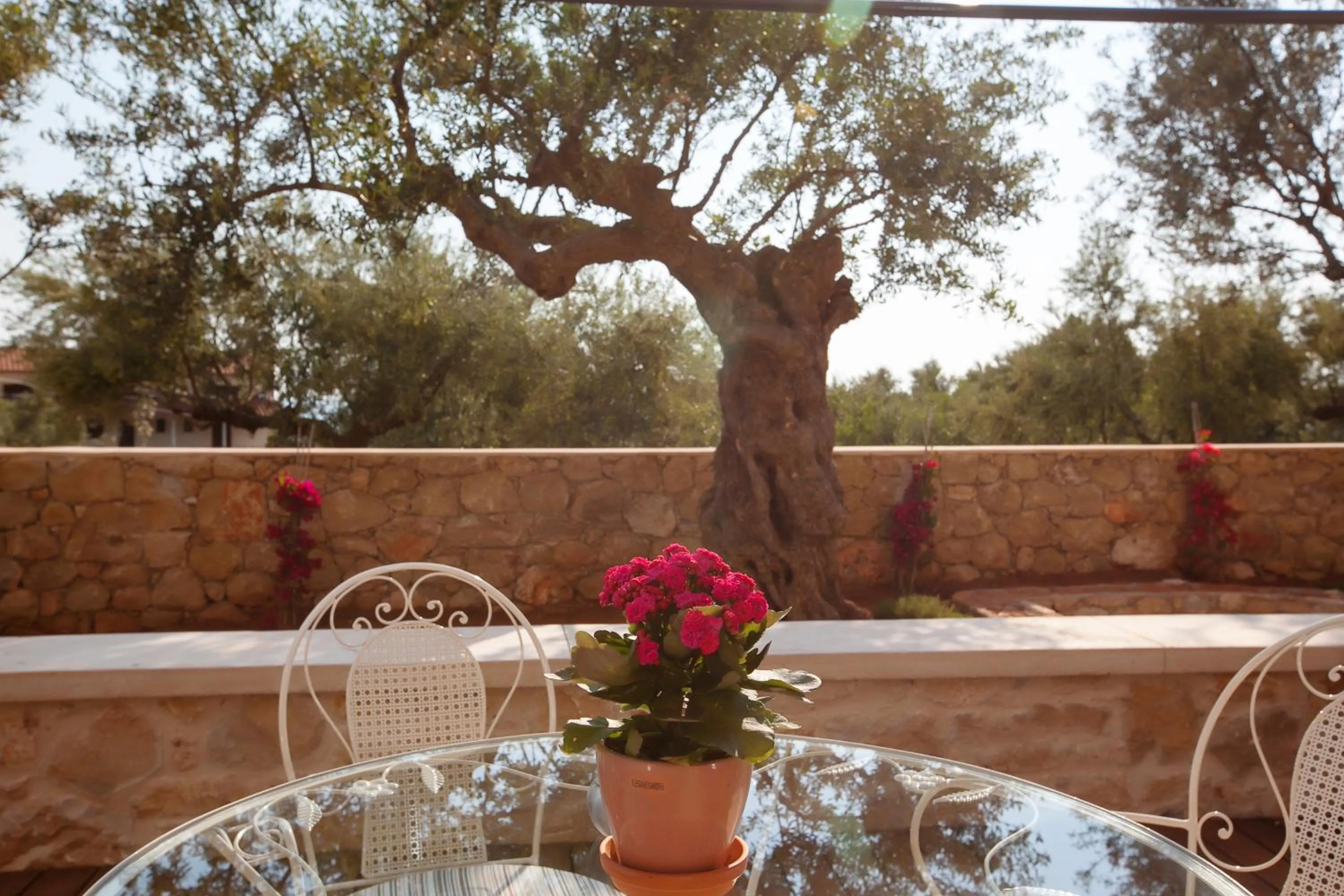 Lithos Guesthouse Kardamili