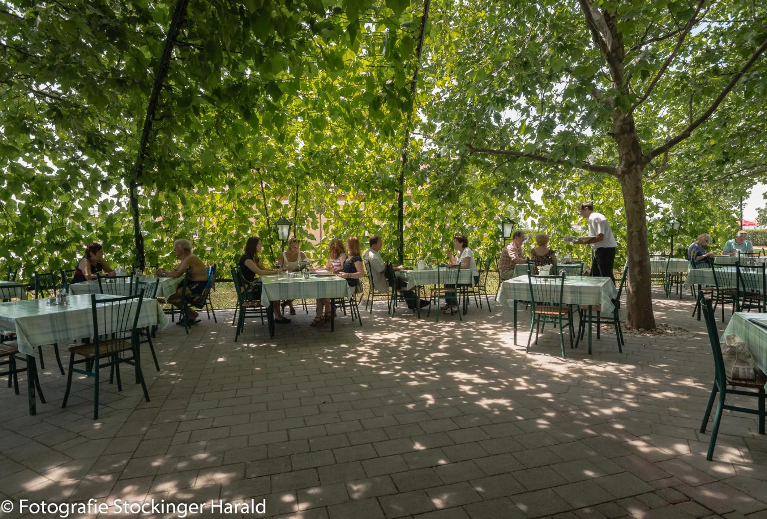 Restaurant/places to eat in Gasthof Kummer