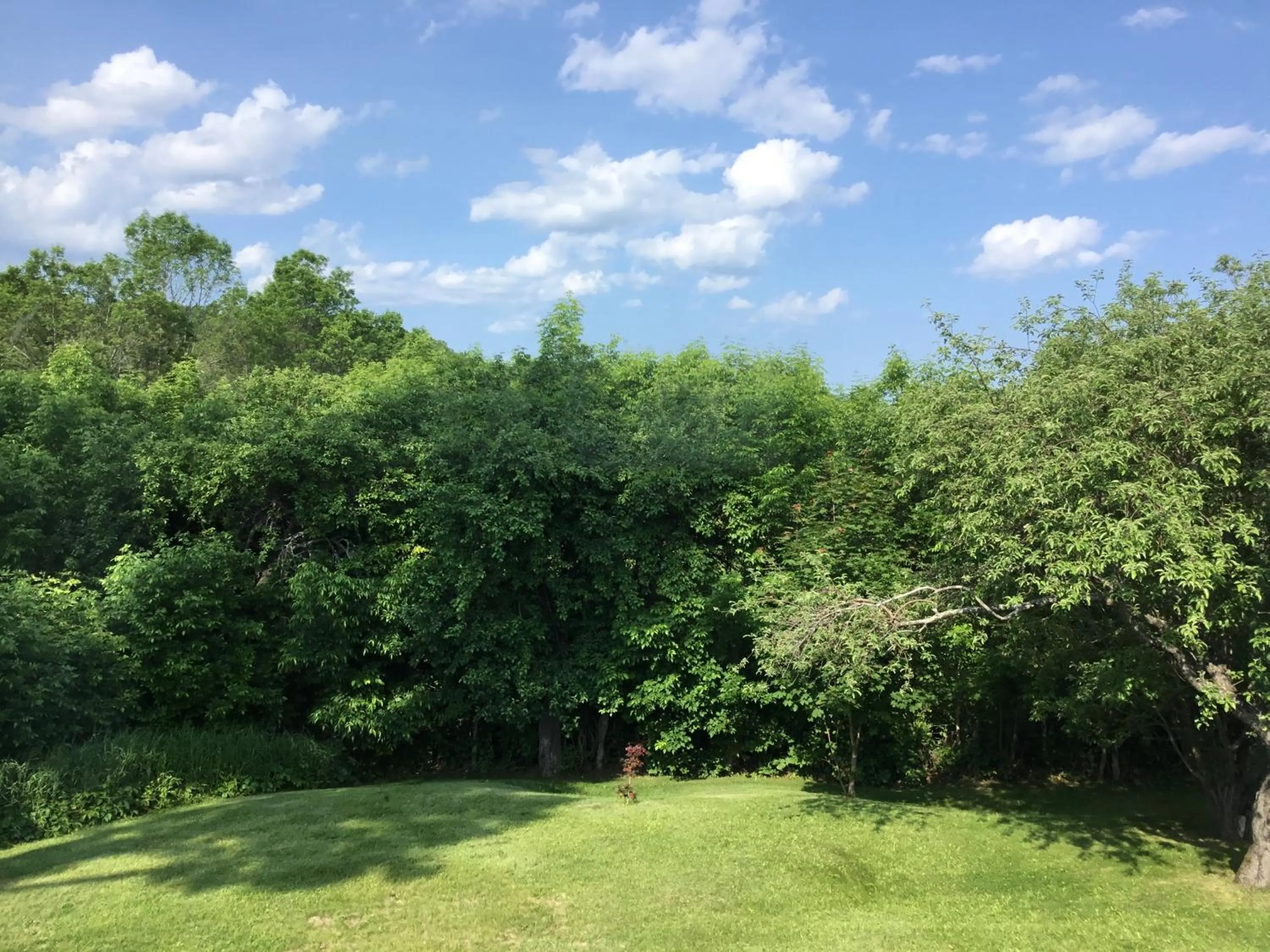 Garden view in Auberge Beausejour
