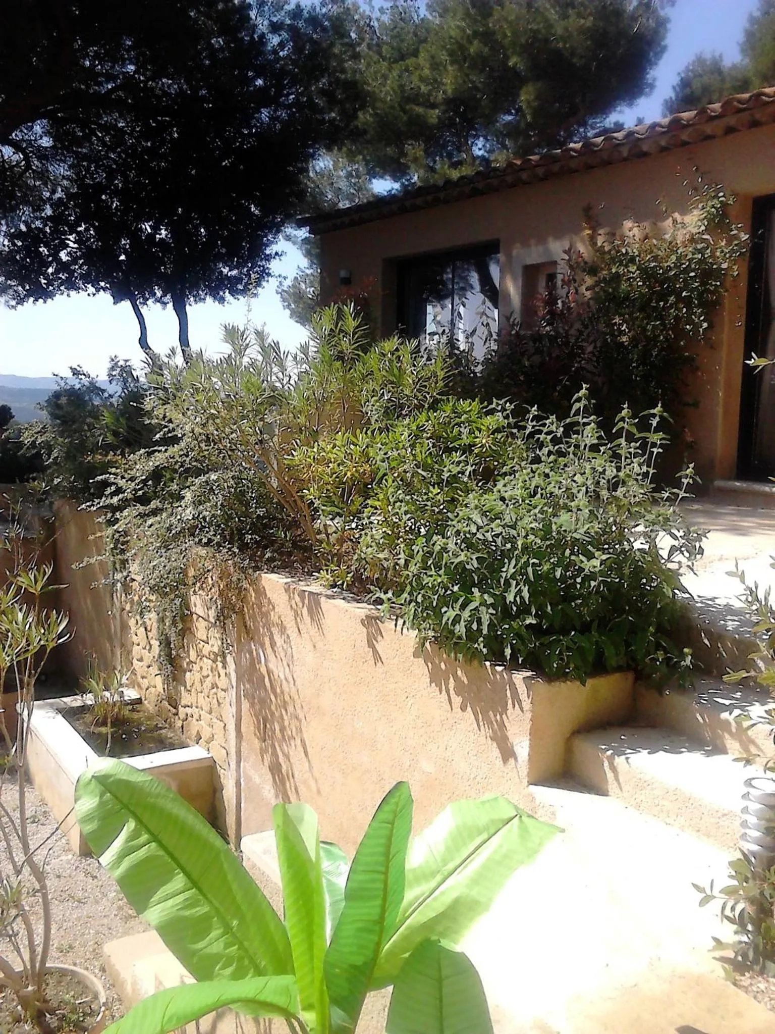 Garden view in La Maison de Charlie