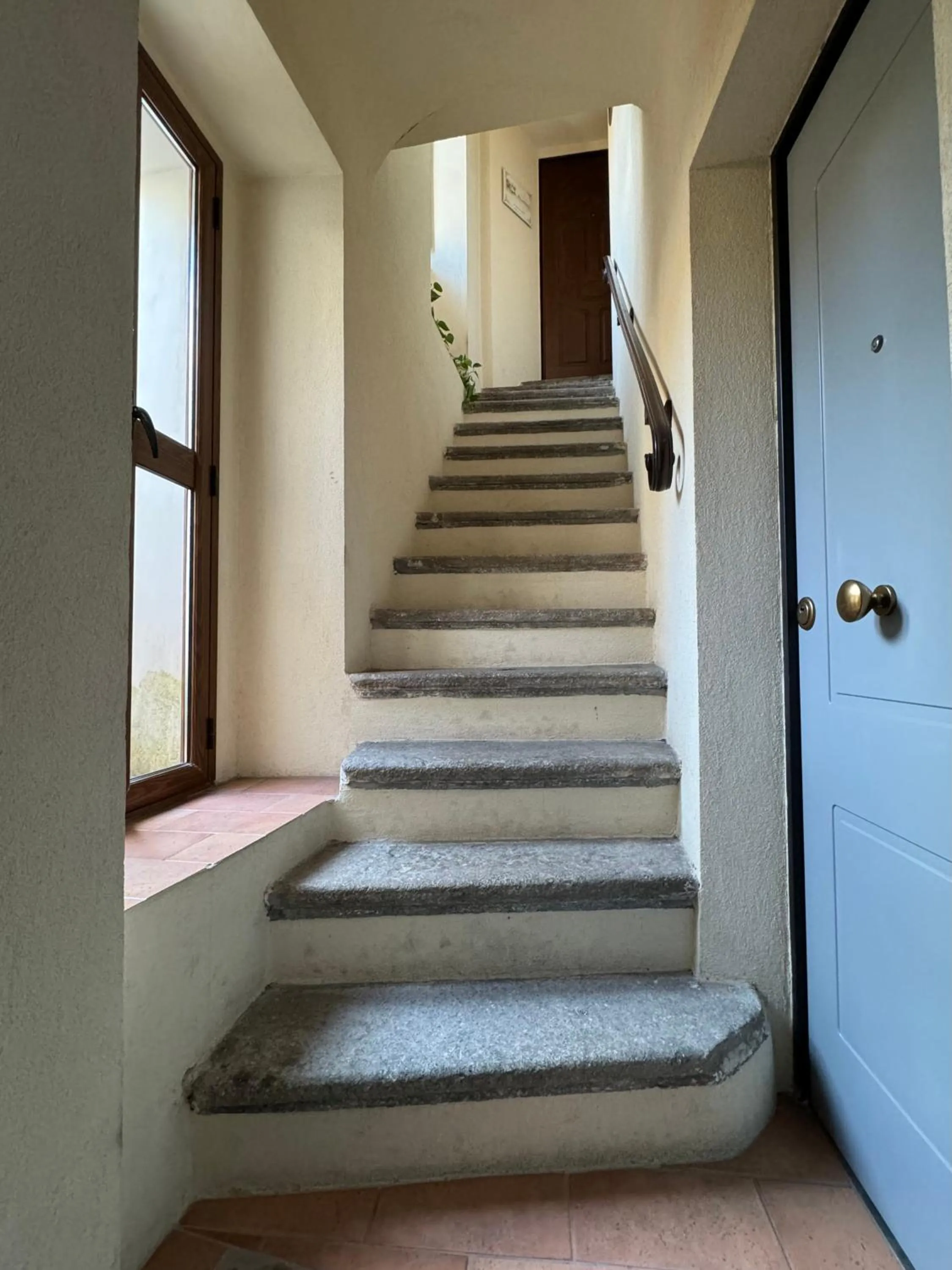 Property building in B&B Rivellini