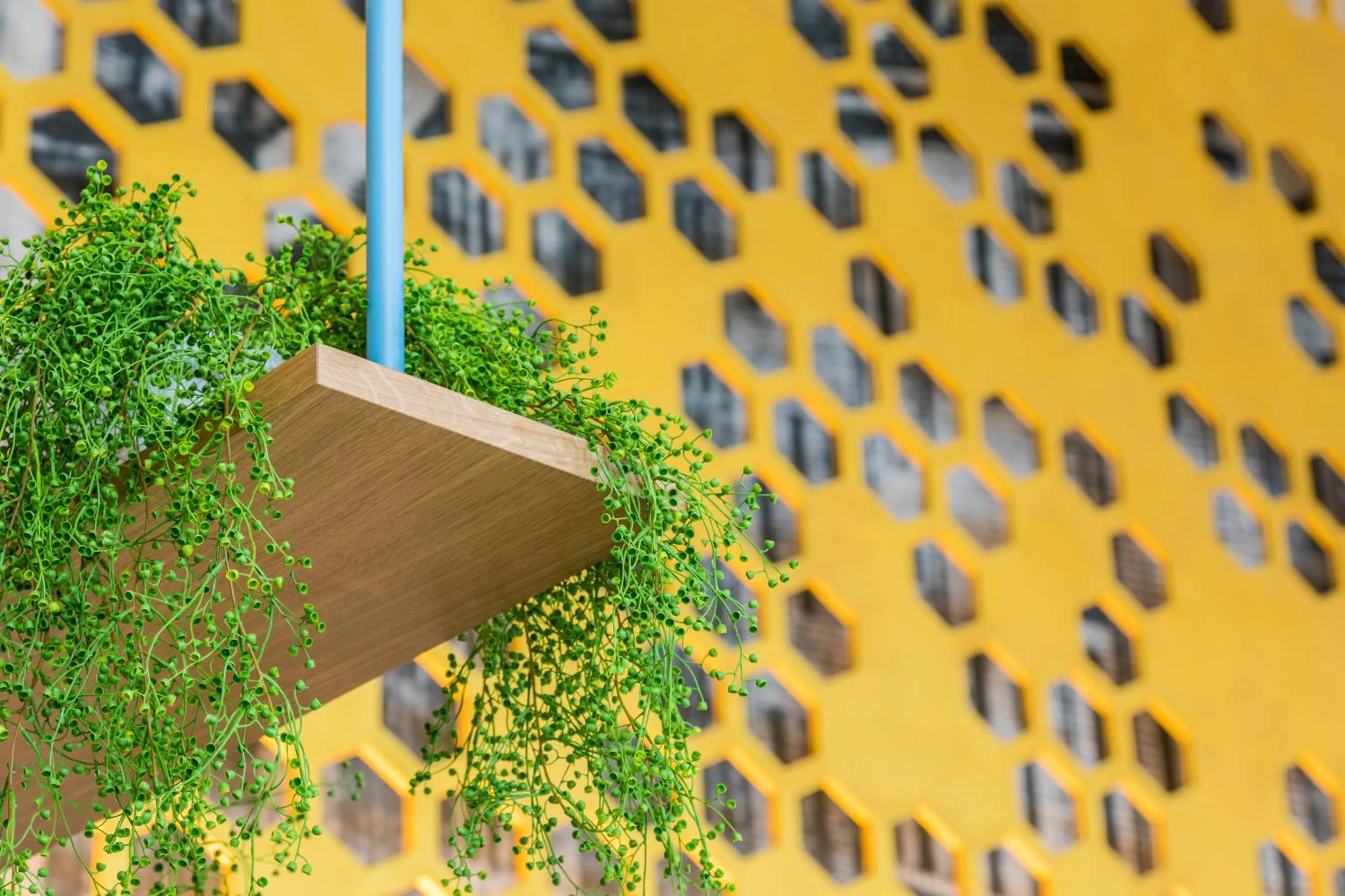 Lobby or reception in Capri by Fraser Berlin