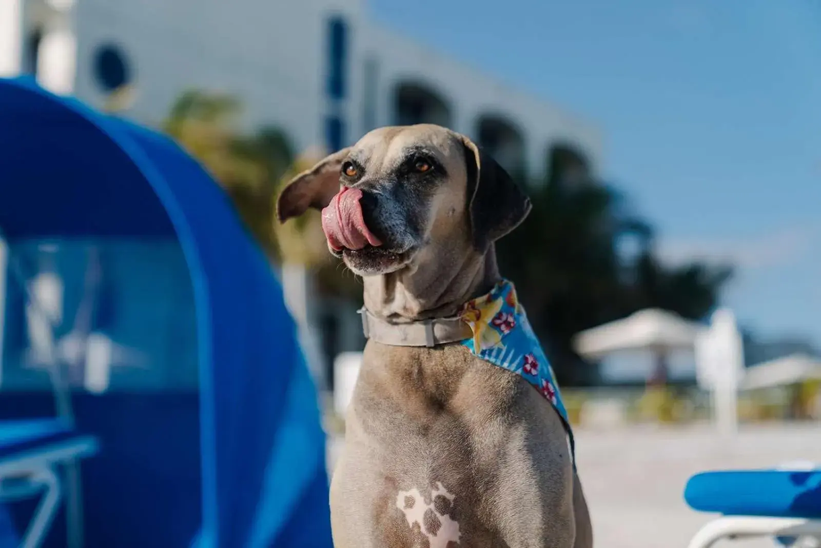 Property building in Costa d'Este Beach Resort & Spa Property building in Costa d'Este Beach Resort & Spa