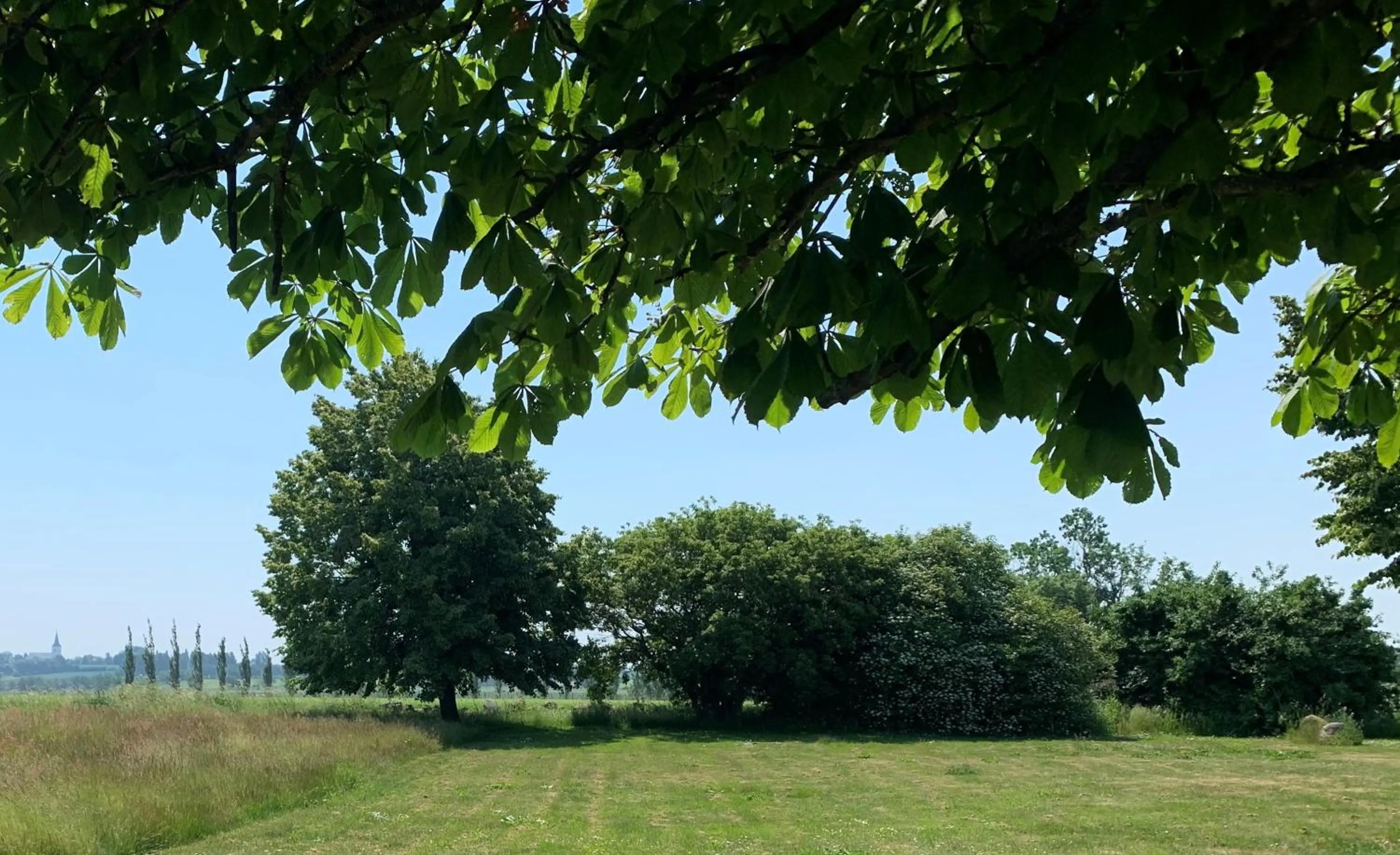 Garden in Mellby Atelier på Österlen