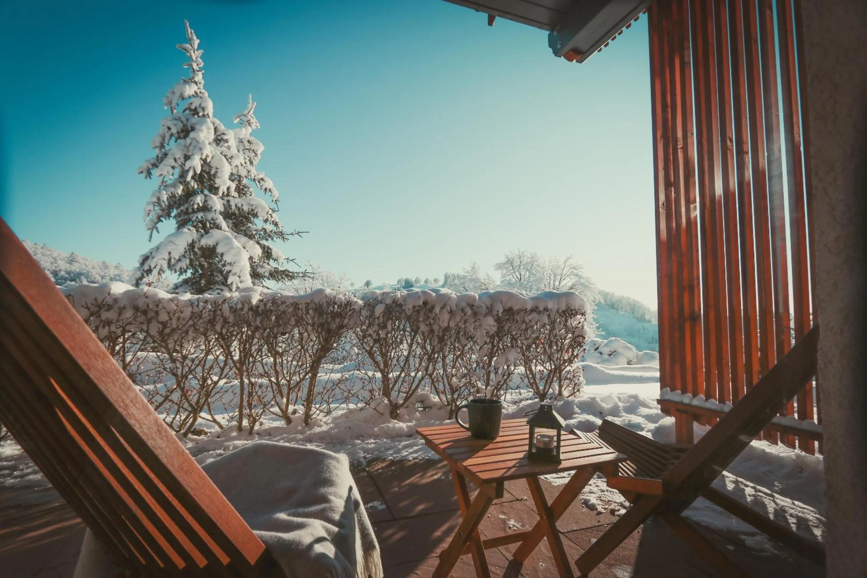 Patio in Harz BnB Werkmeister