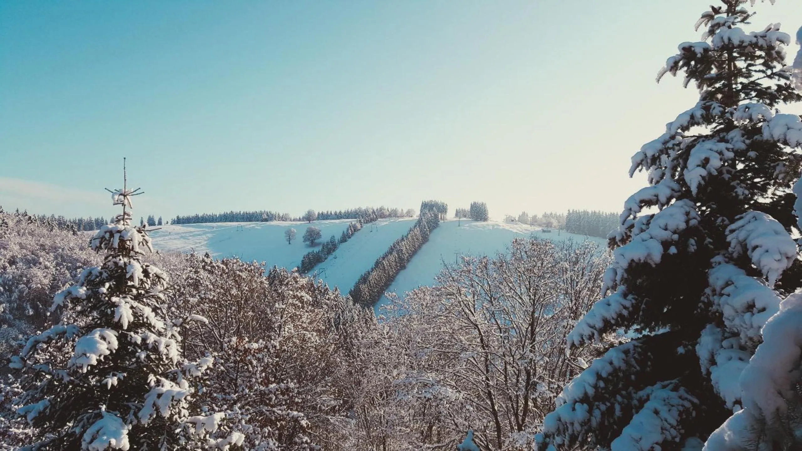View (from property/room) in Harz BnB Werkmeister