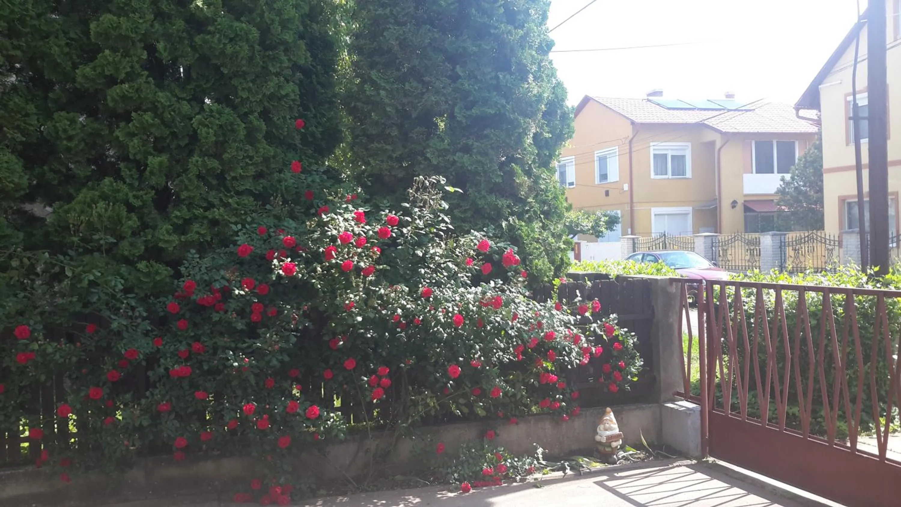 Street view in Rubin Apartman