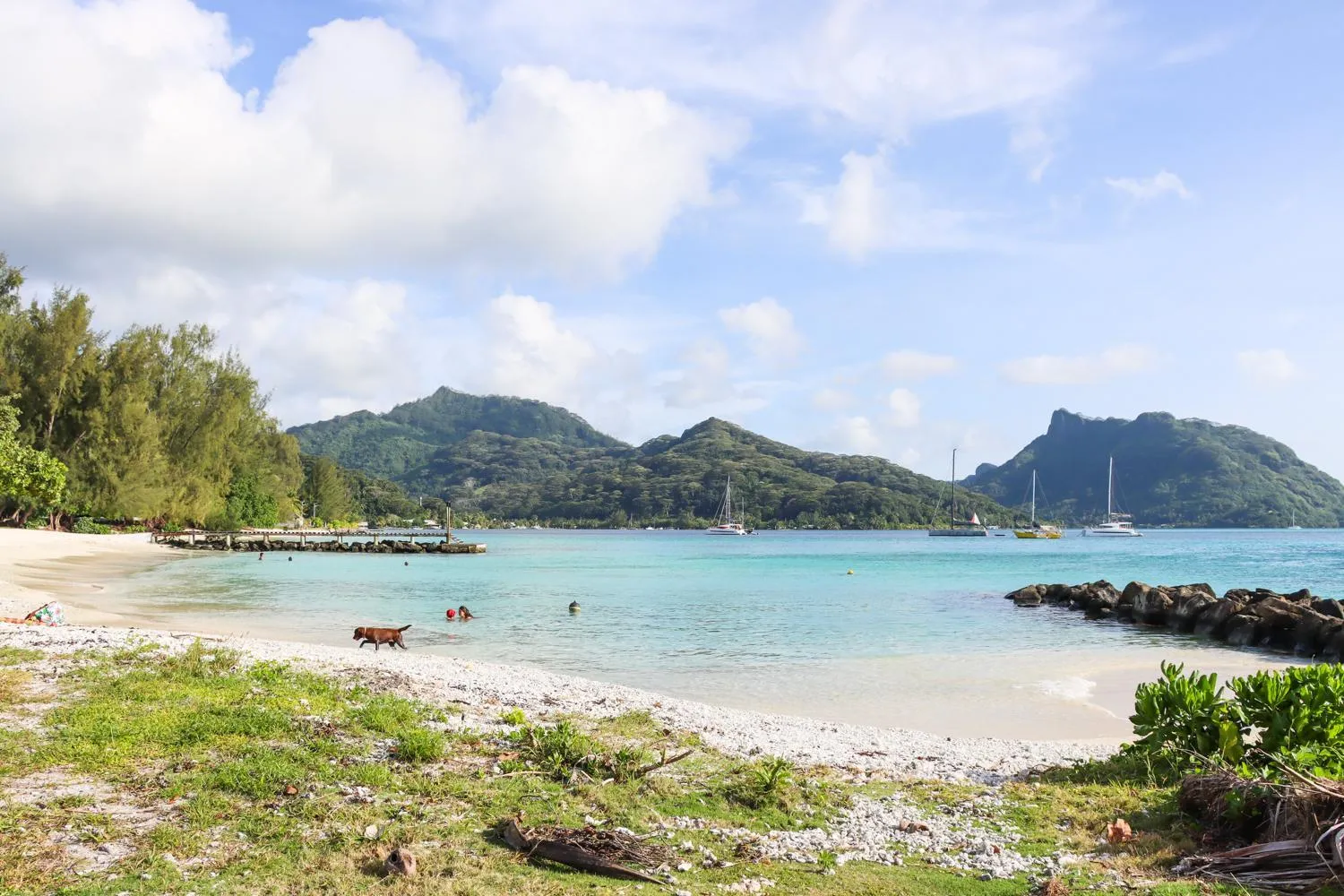Beach in Bungalow Bali Hai