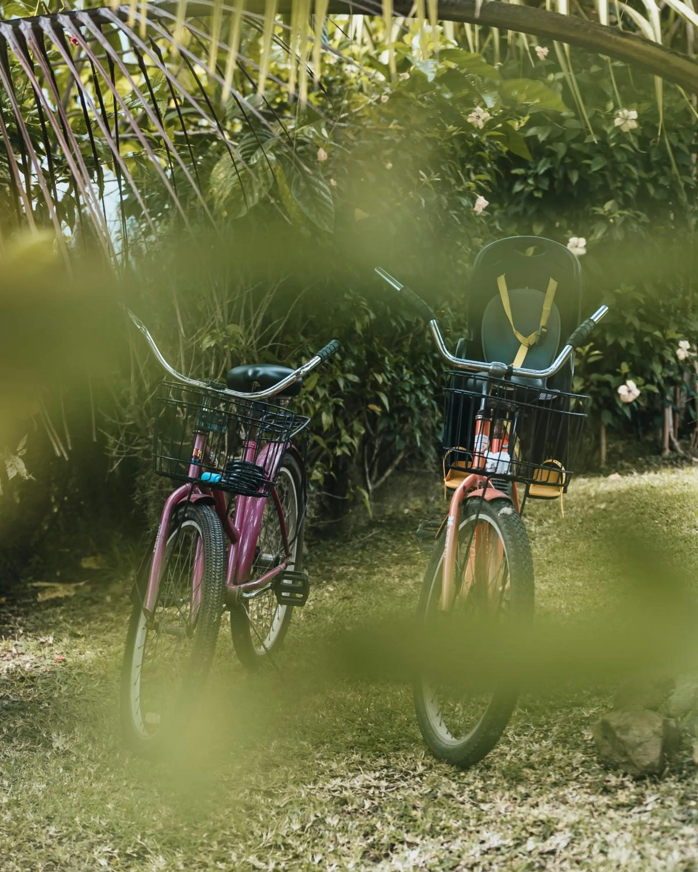 Cycling in Bungalow Bali Hai