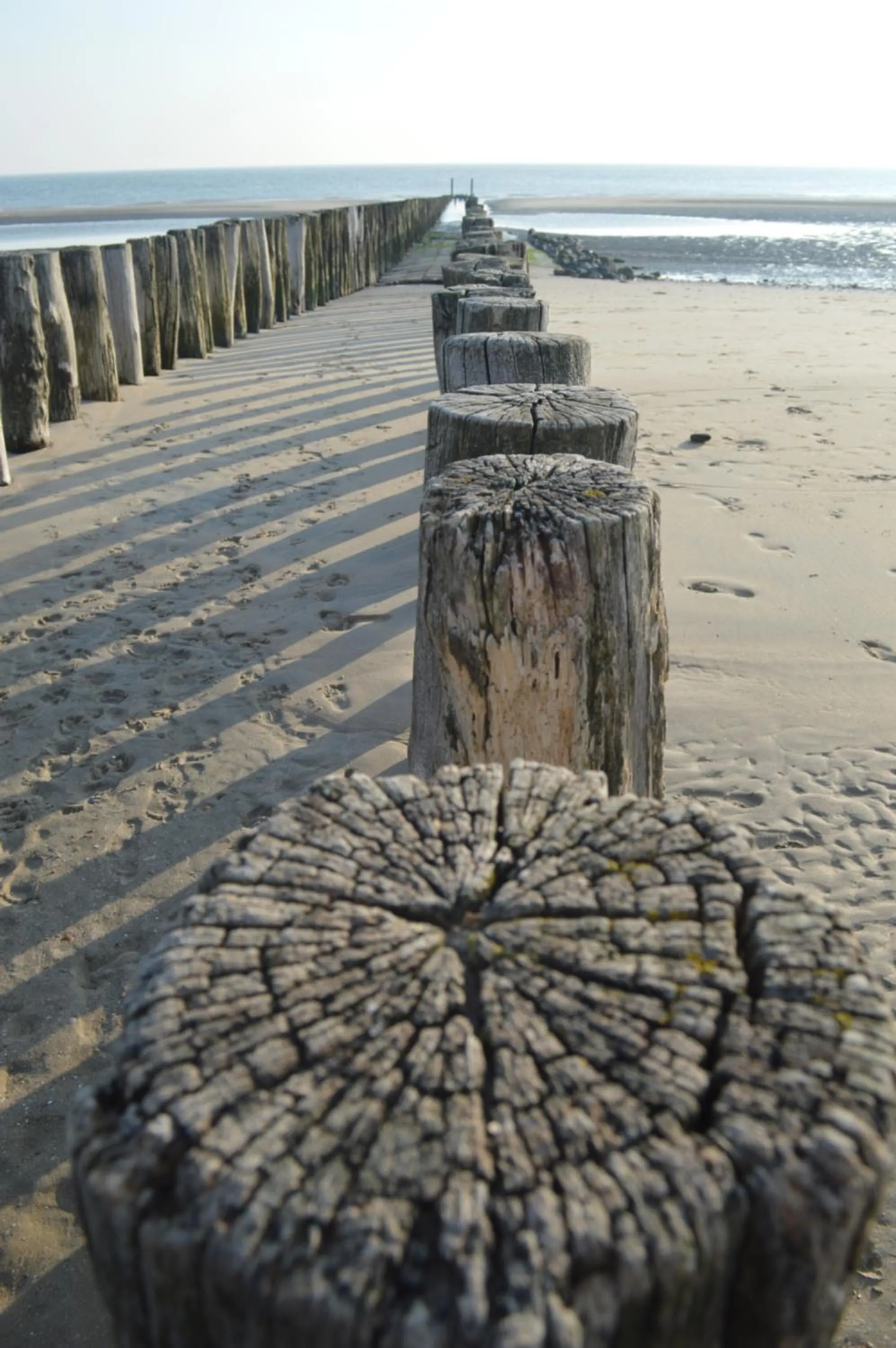 Natural landscape in Effe-Zoutelande
