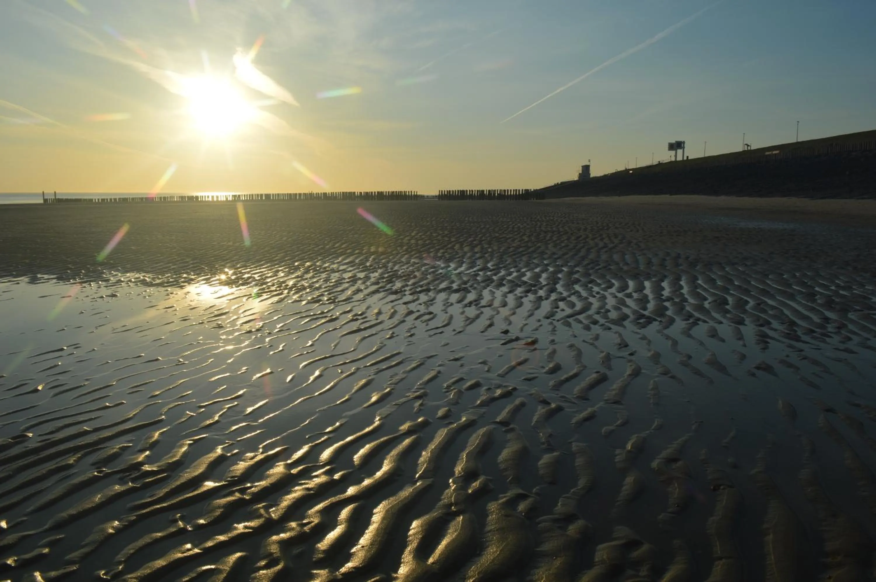 Natural landscape in Effe-Zoutelande