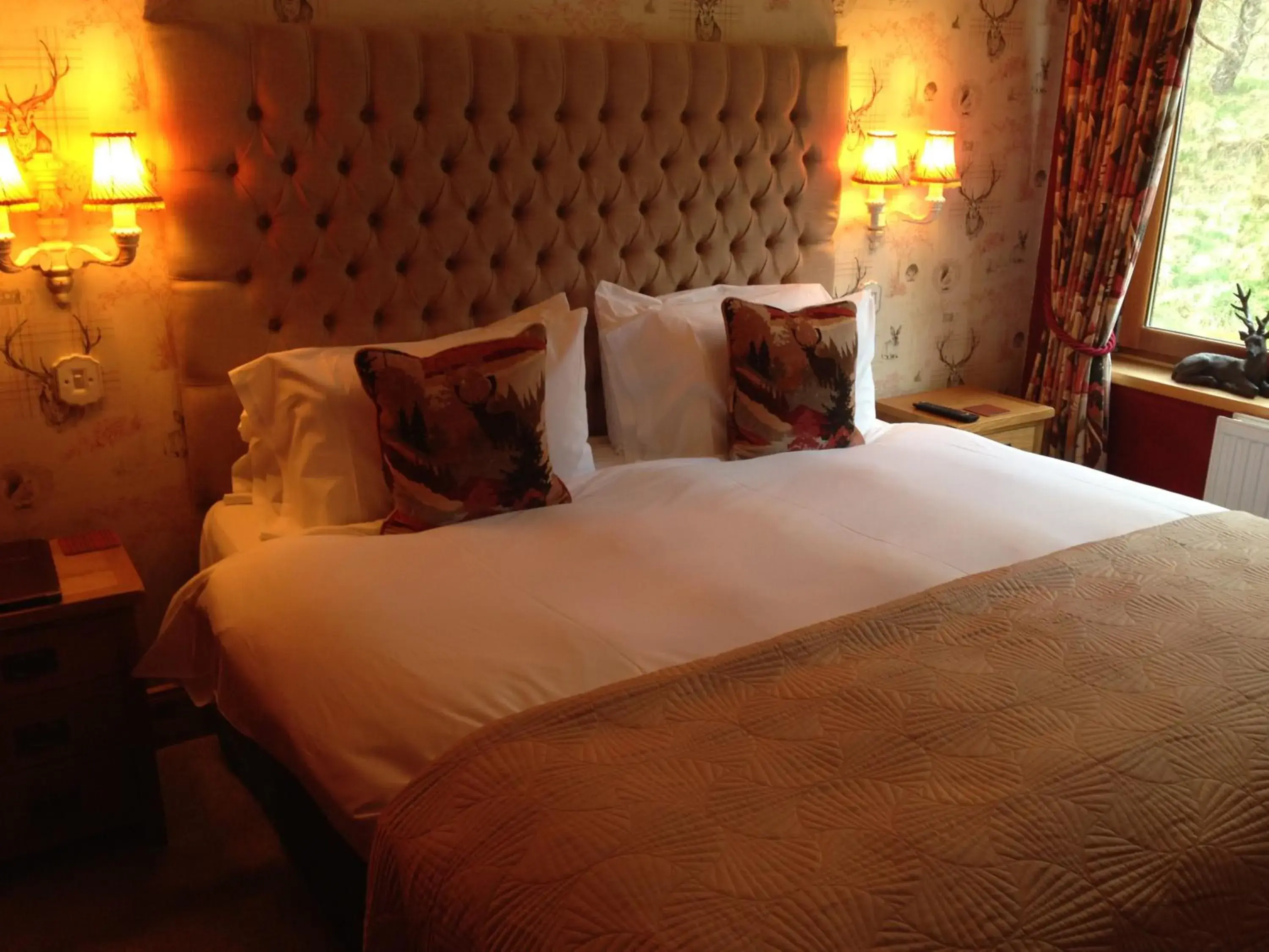 King Suite in Highland Bear Lodge & Luxury Bear Huts King Suite in Highland Bear Lodge & Luxury Bear Huts