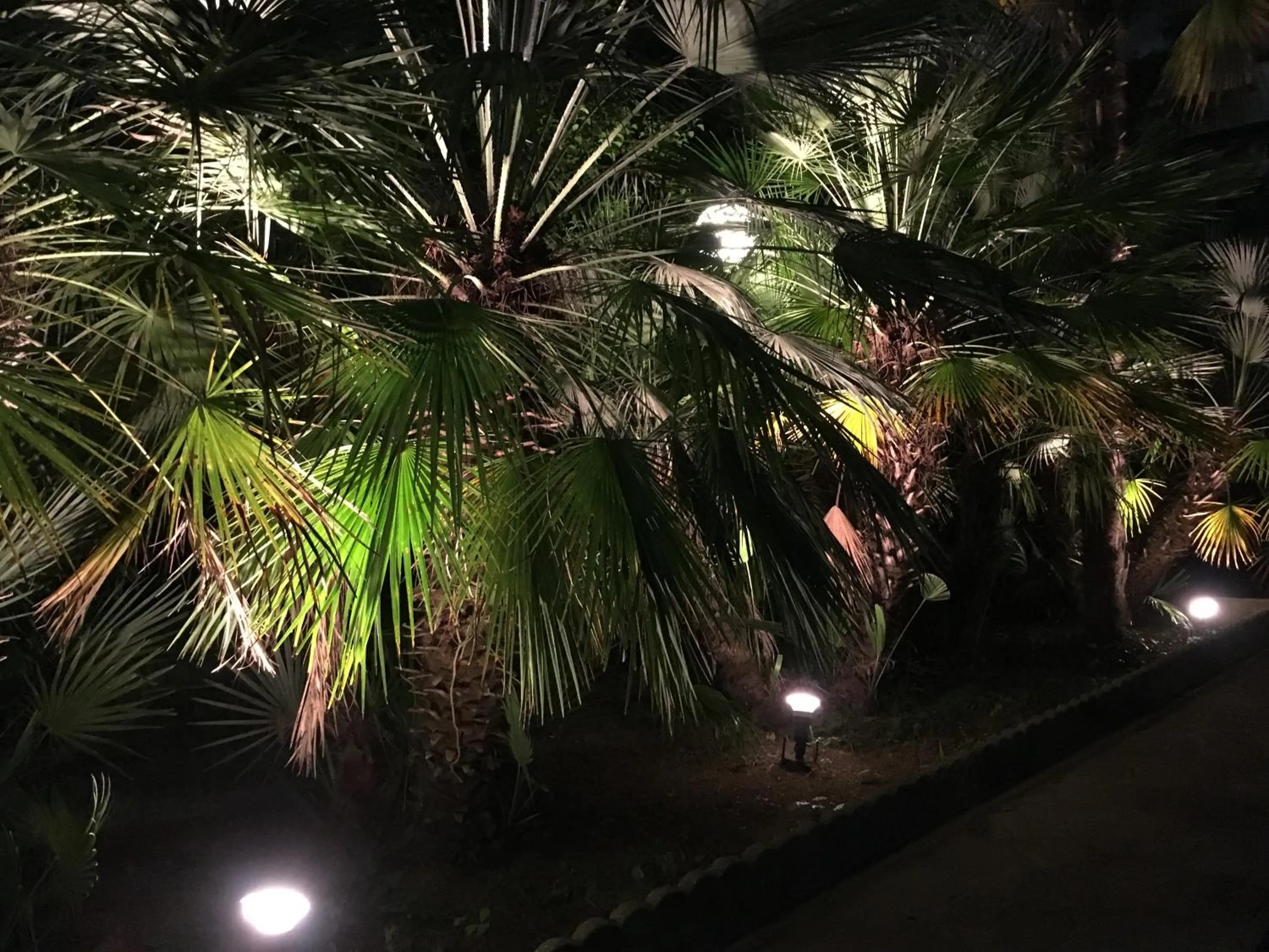 Garden in G&D Hotel Deanna Pool&Brunch