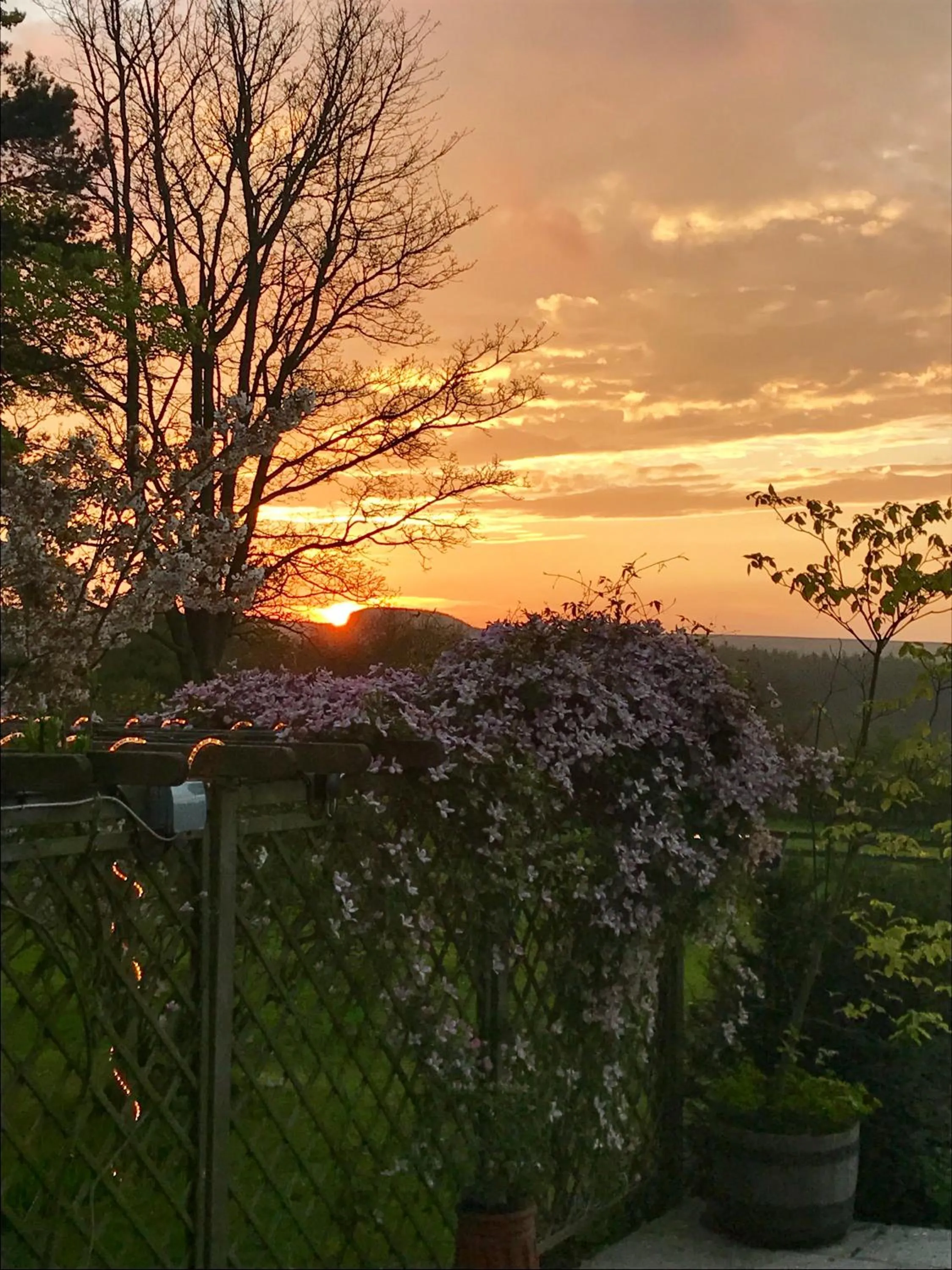Garden in Mallyan Spout Hotel