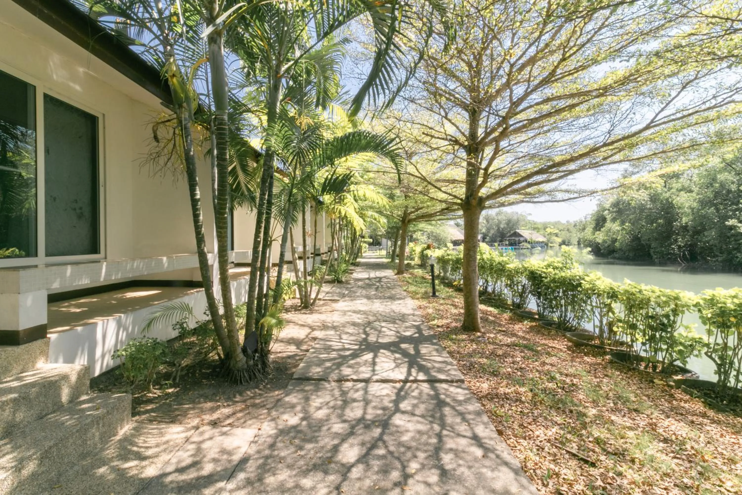 Garden in Chaiyo Resort