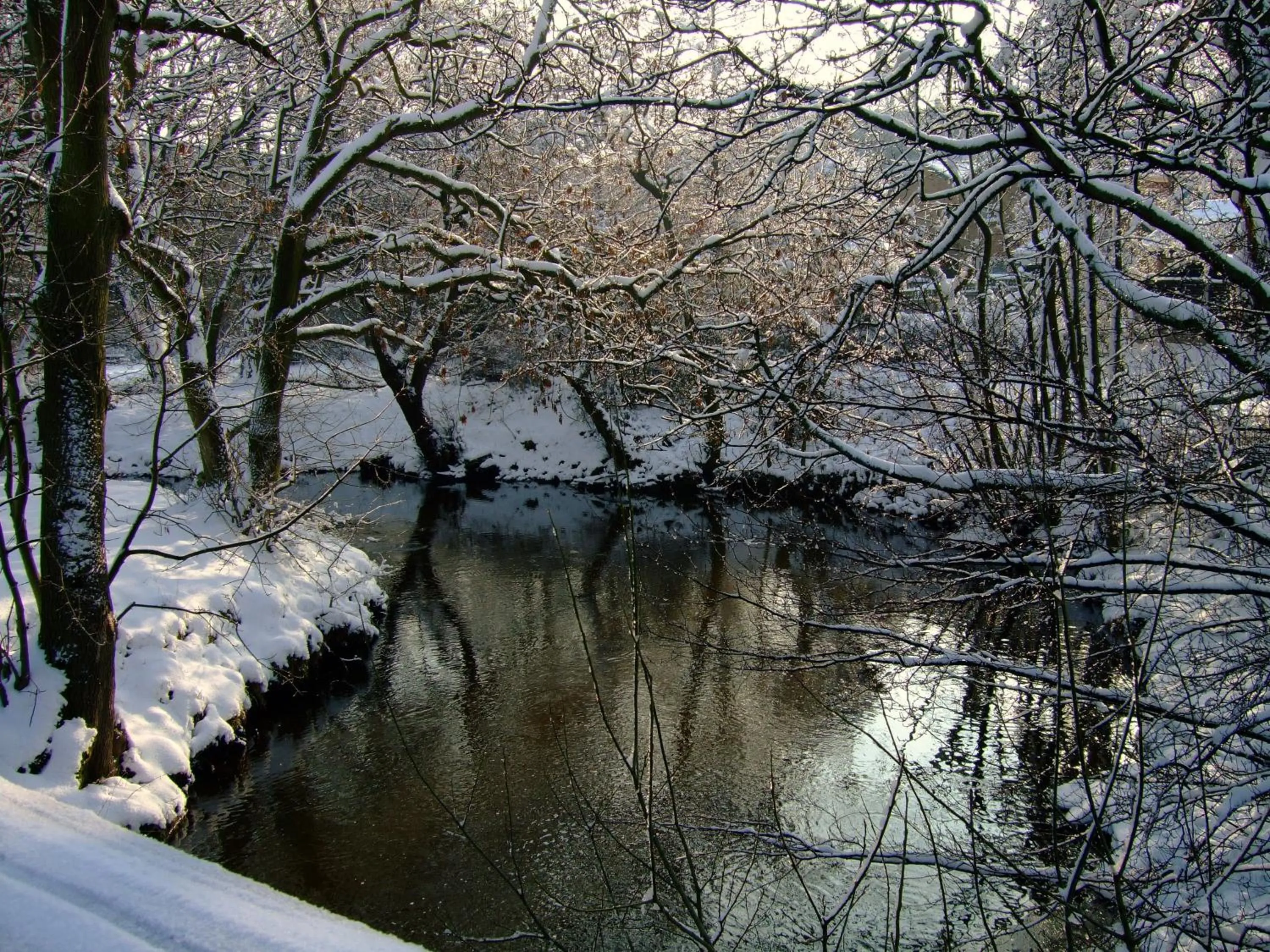 Nearby landmark in The Dog and Partridge