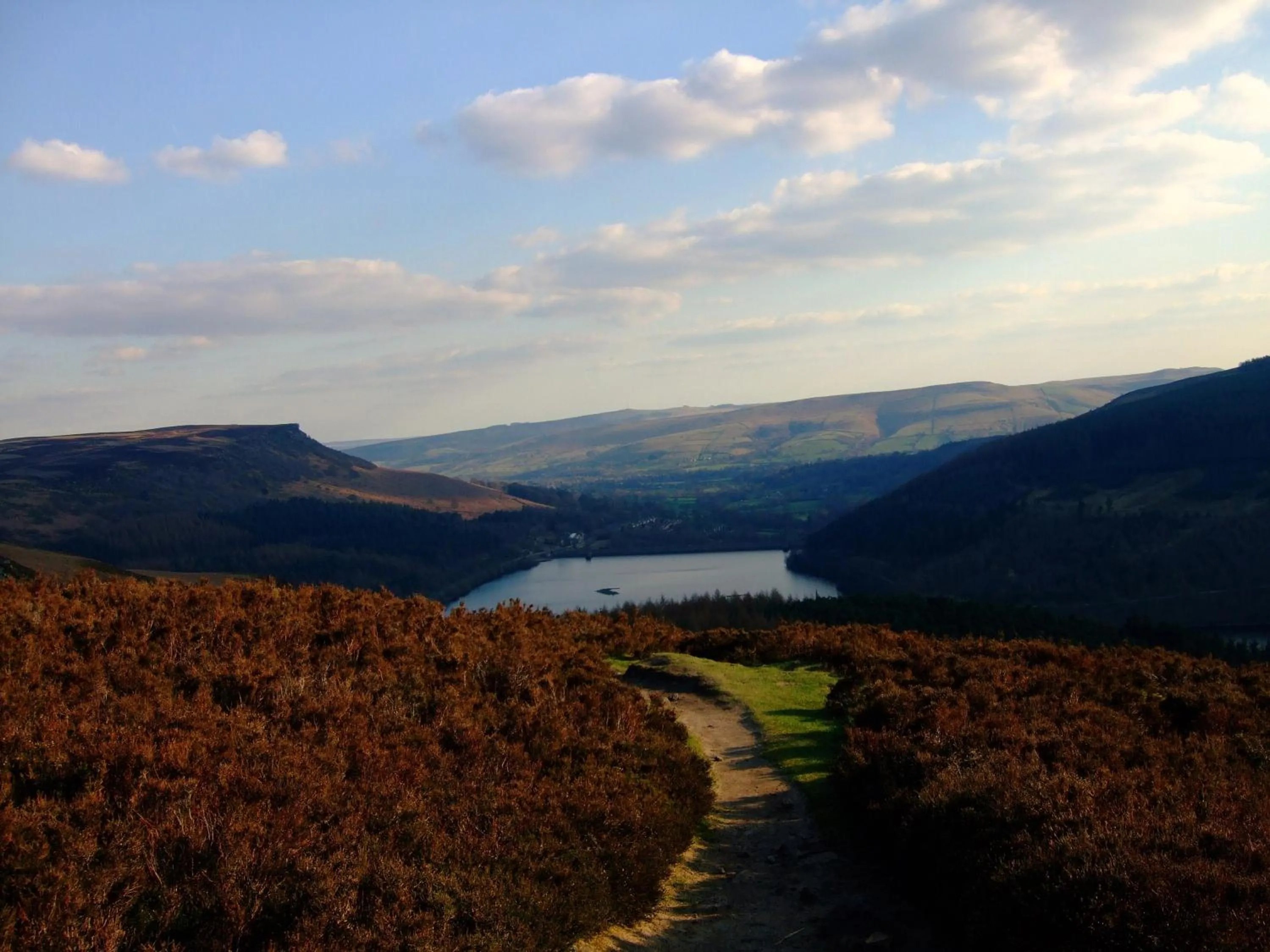 Nearby landmark in The Dog and Partridge