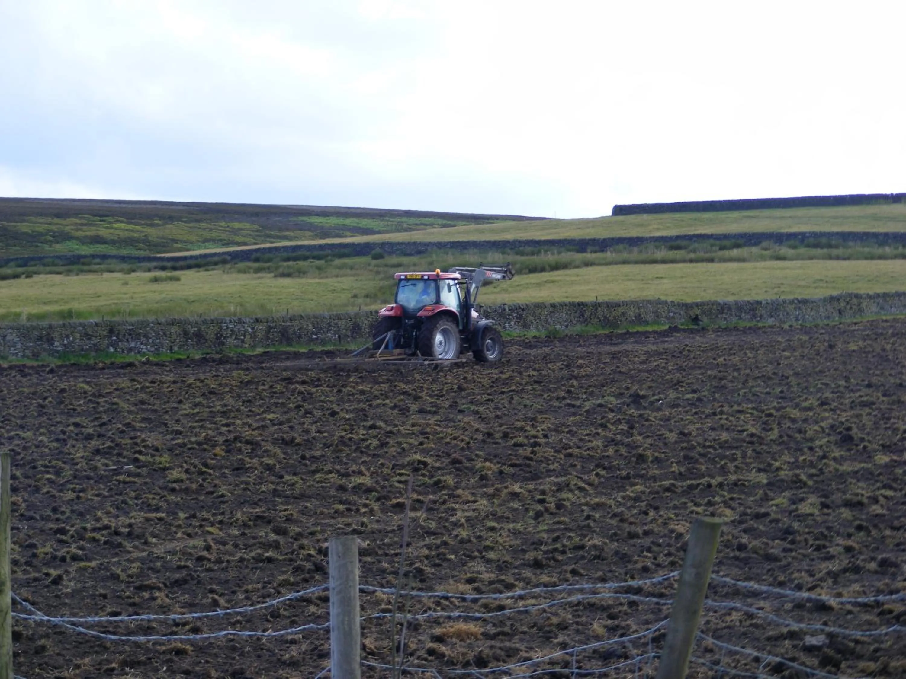 Landmark view in The Dog and Partridge