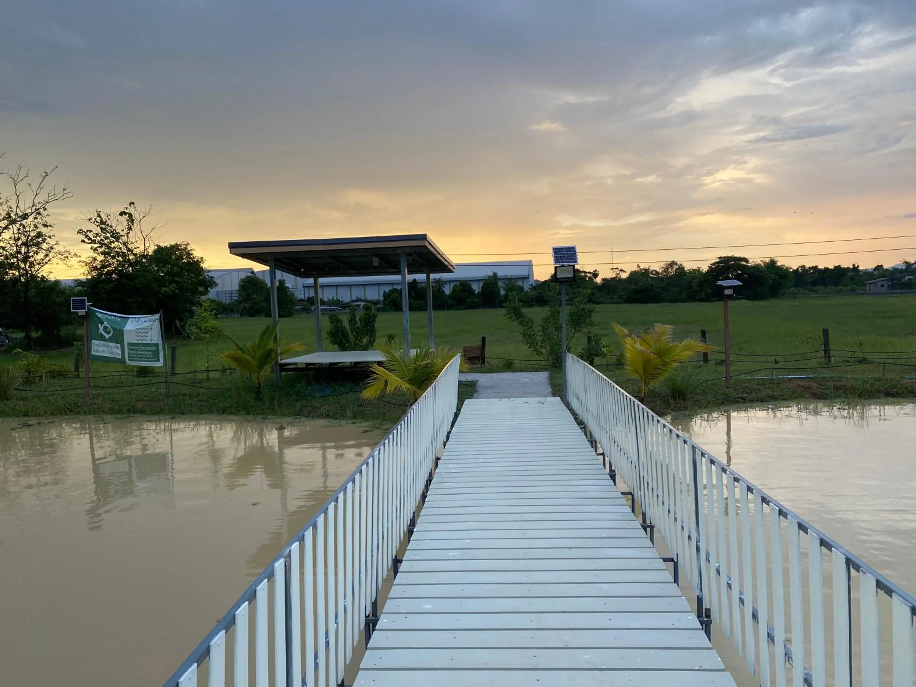 Garden view in Baan Suan Palm Resort