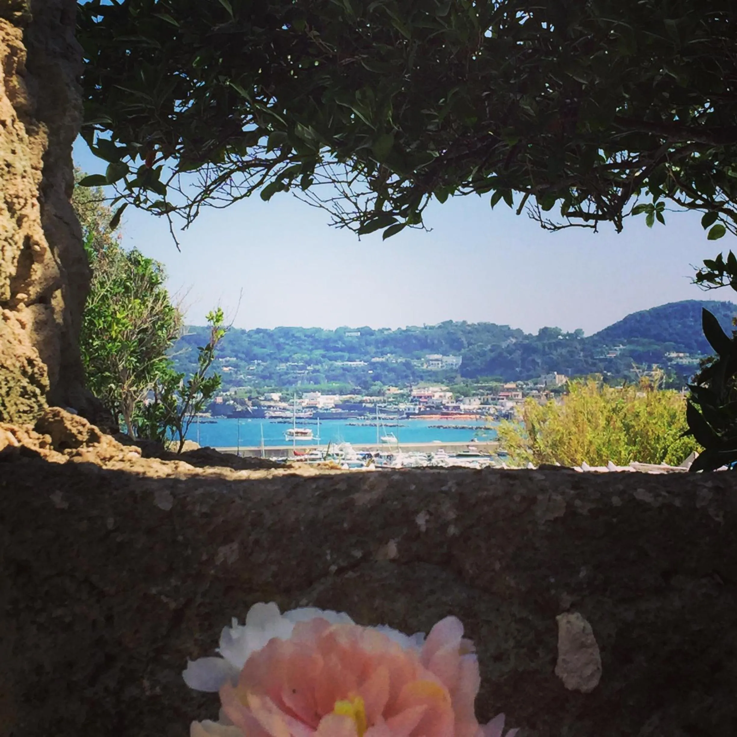 Harbour View B&B