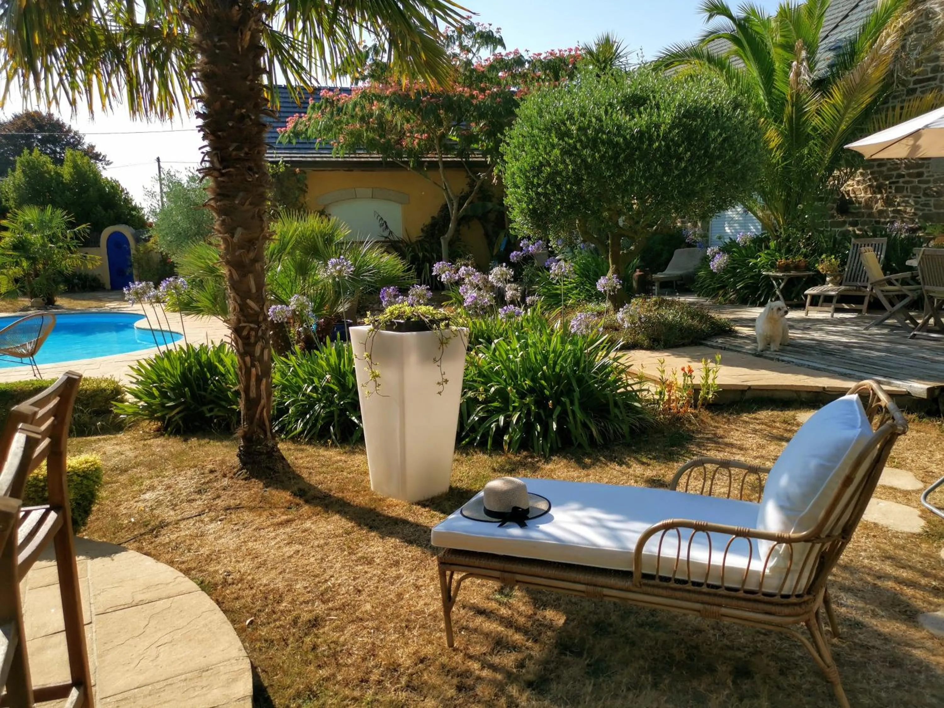 Garden in B&B Lou Mas