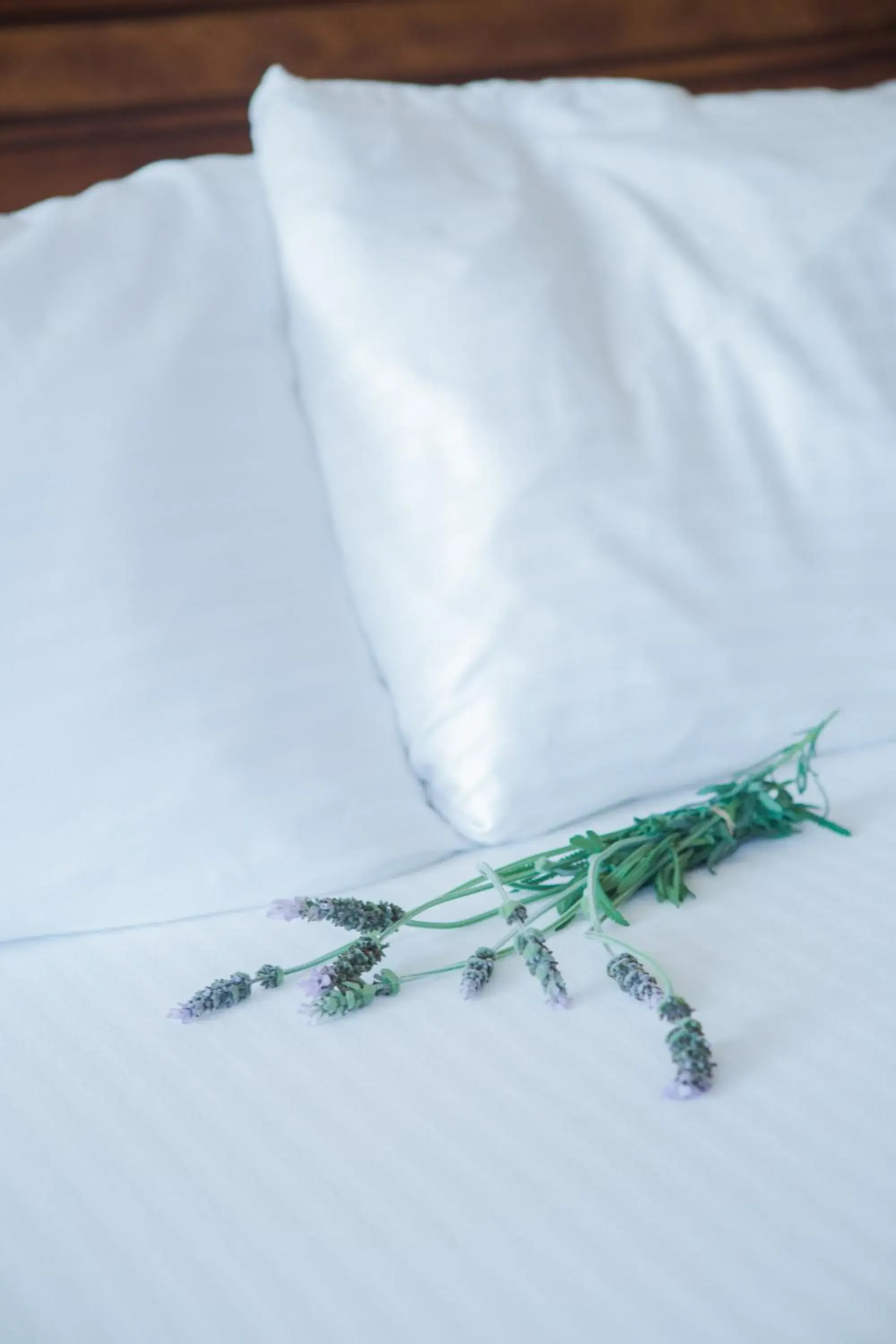 Other, Bed in Casa Ojai Inn Other, Bed in Casa Ojai Inn