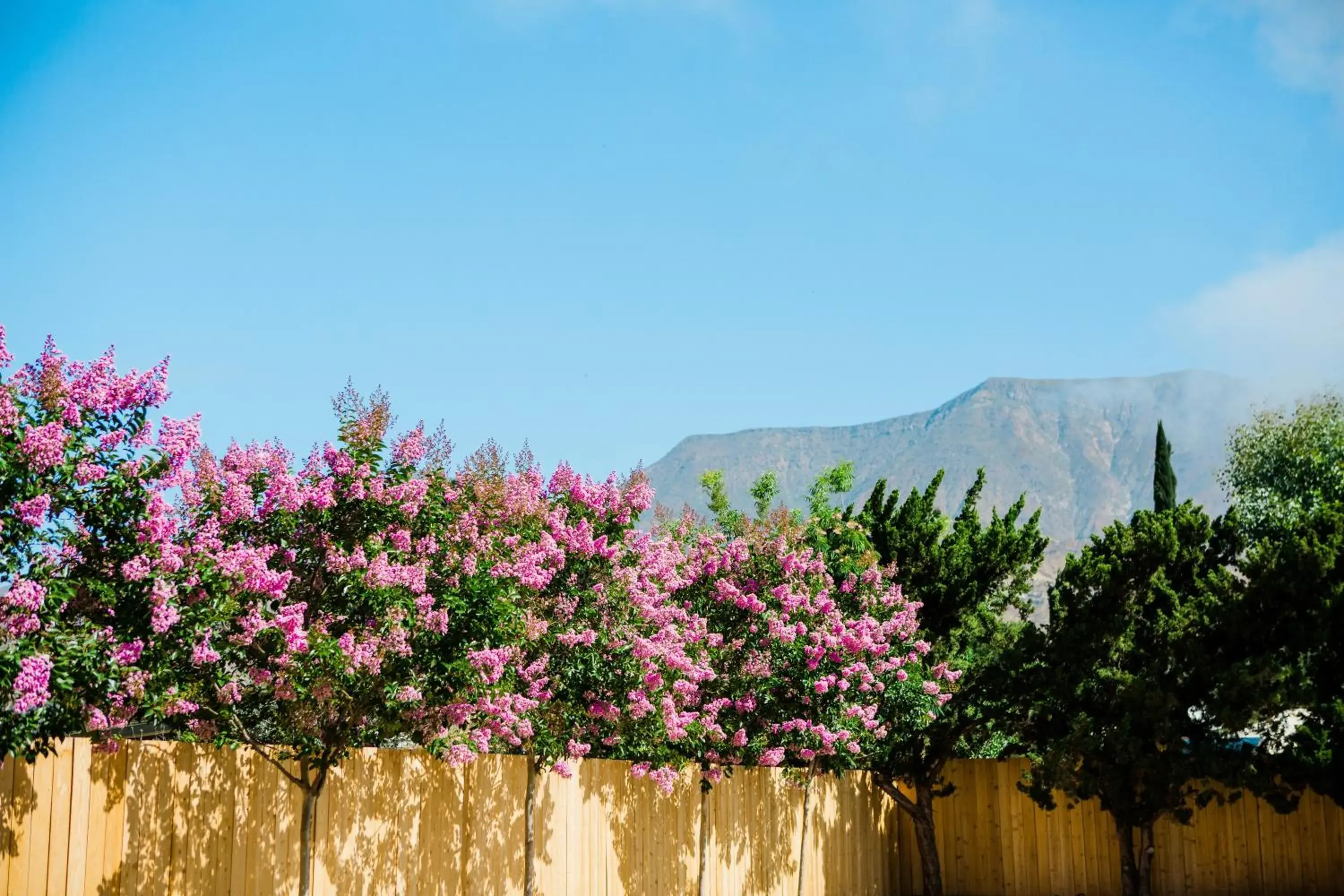 Mountain view in Casa Ojai Inn Mountain view in Casa Ojai Inn