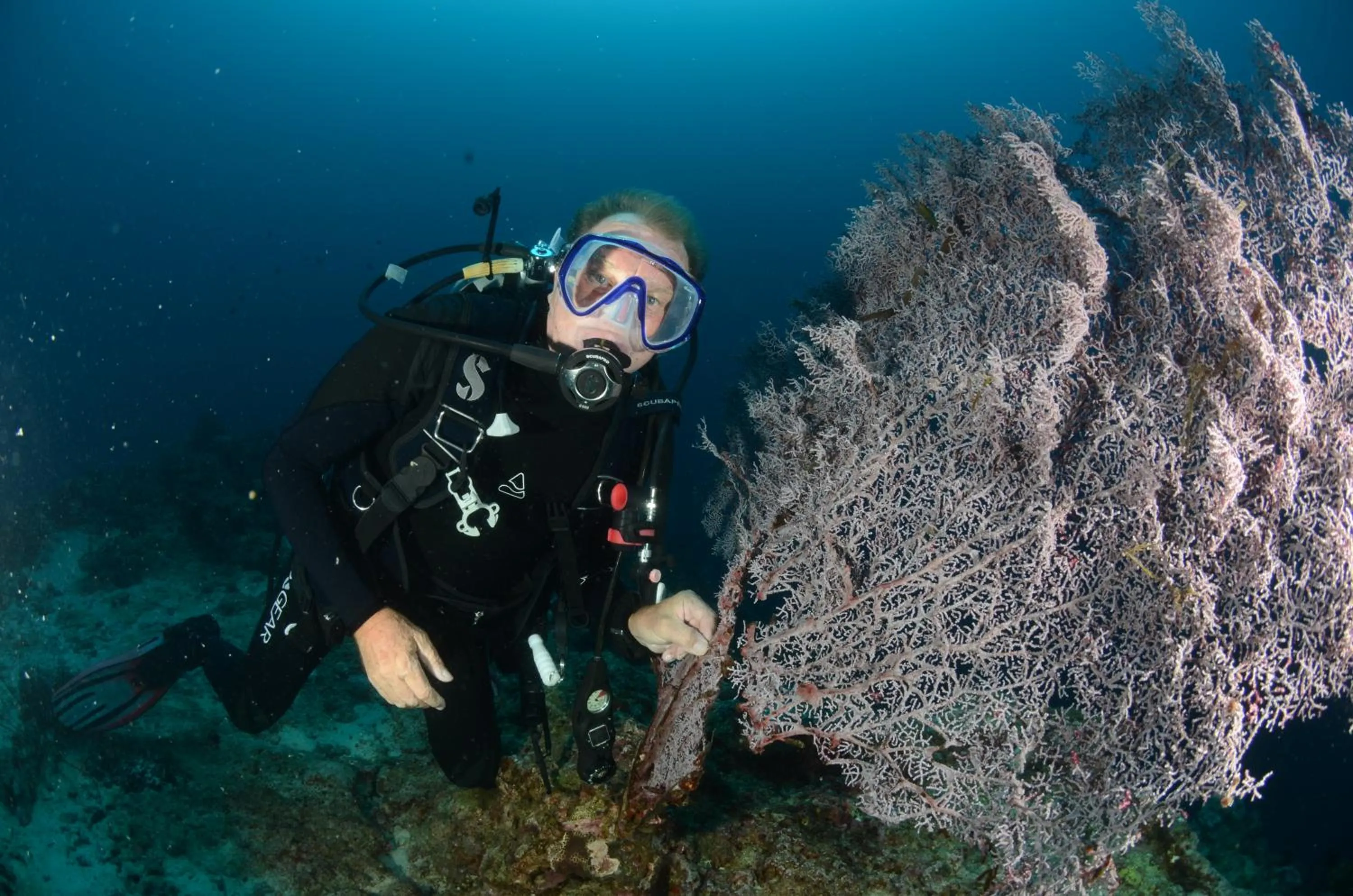 Cabilao Sunset Dive & Beach Resort