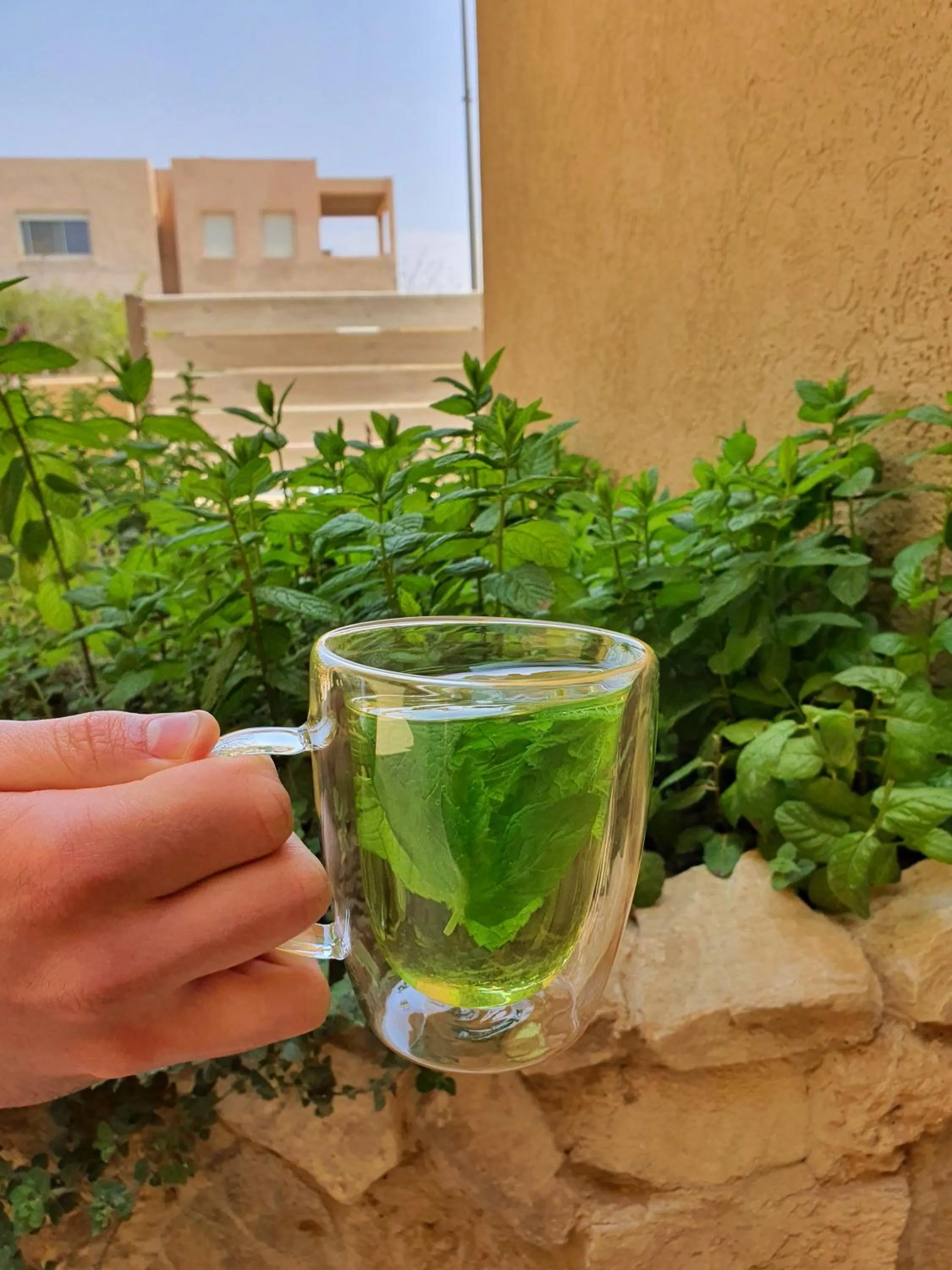 Drinks in Shoshanat Hamidbar