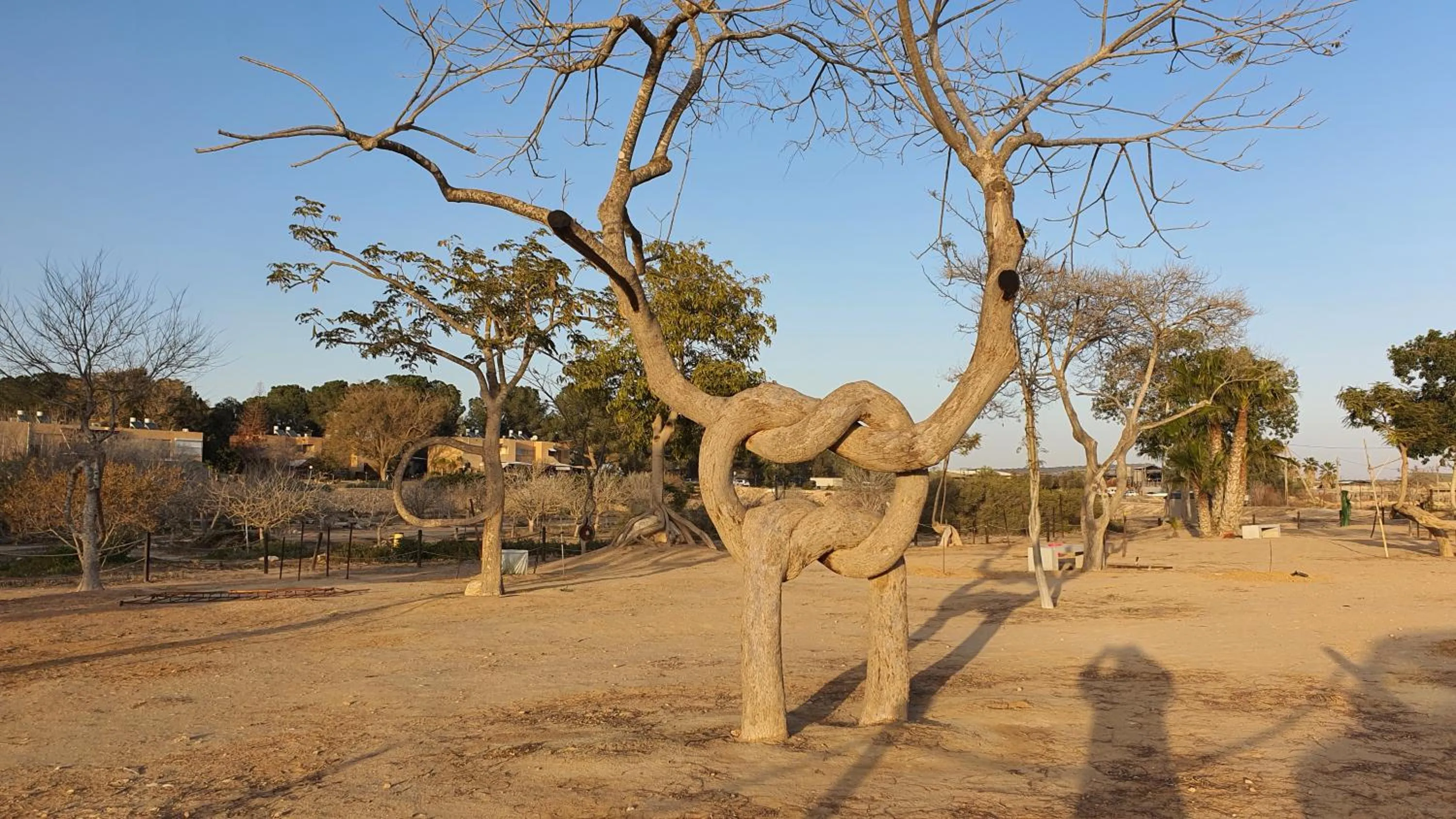 Natural landscape in Shoshanat Hamidbar