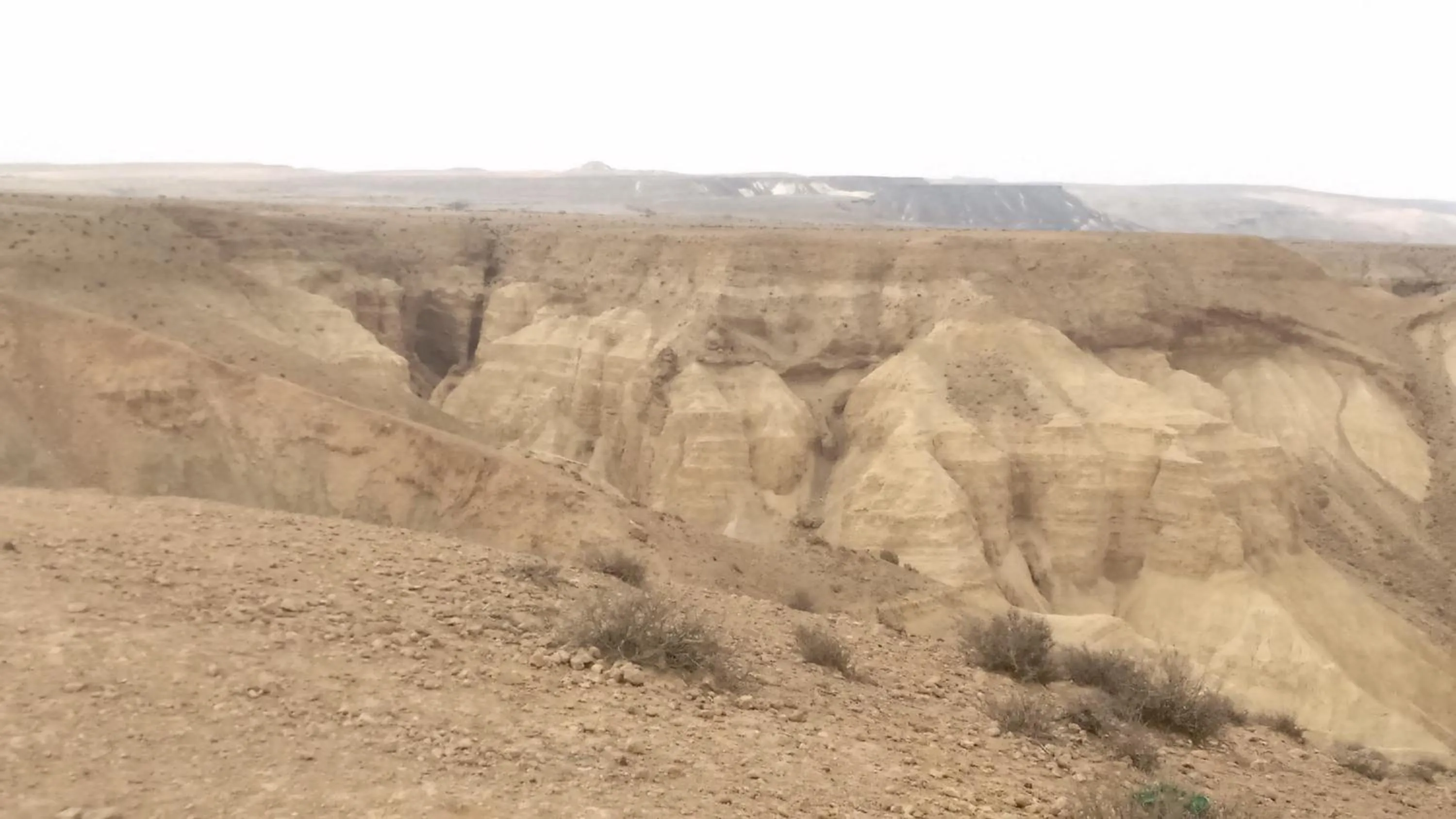 View (from property/room) in Shoshanat Hamidbar