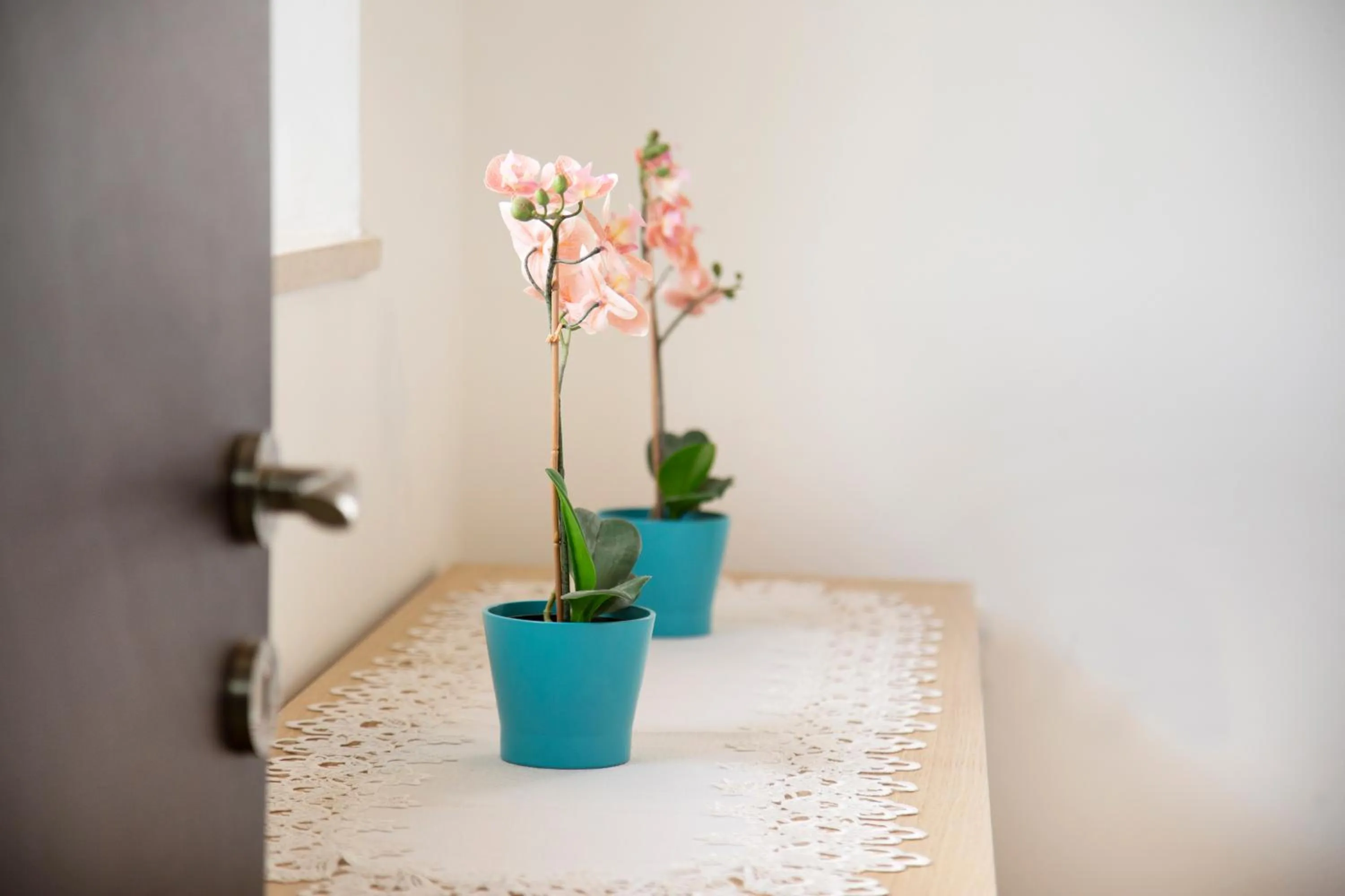 Decorative detail in Shoshanat Hamidbar