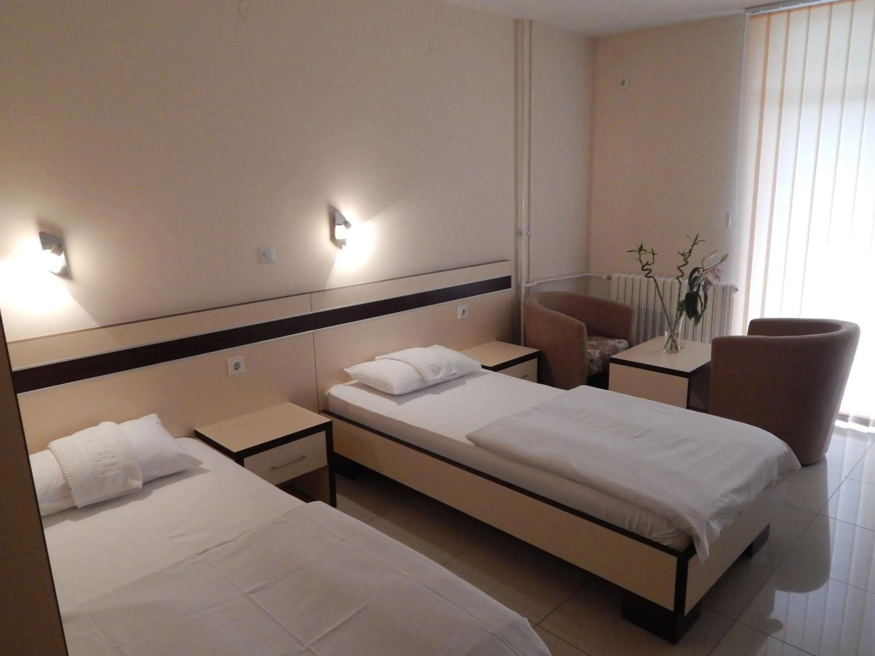 Twin Room - single occupancy in Hotel Zelengora