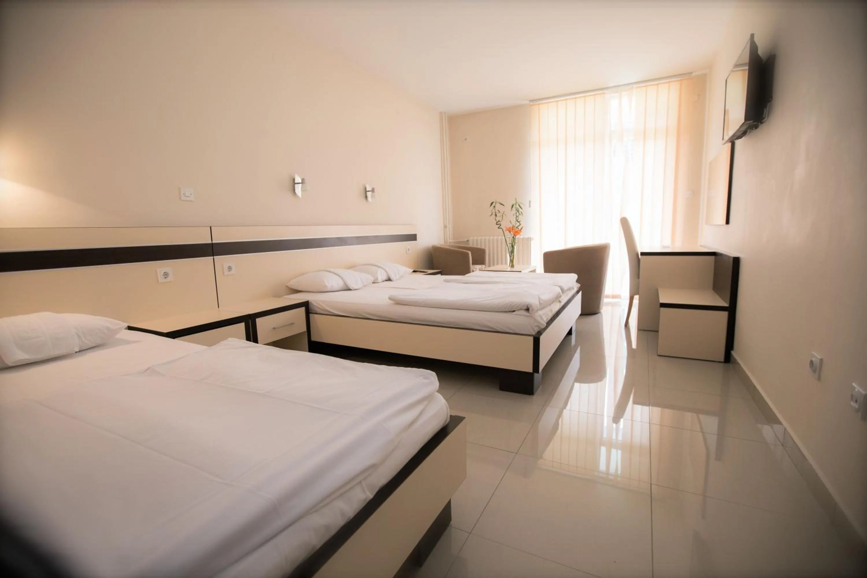 Economy Triple Room - single occupancy in Hotel Zelengora