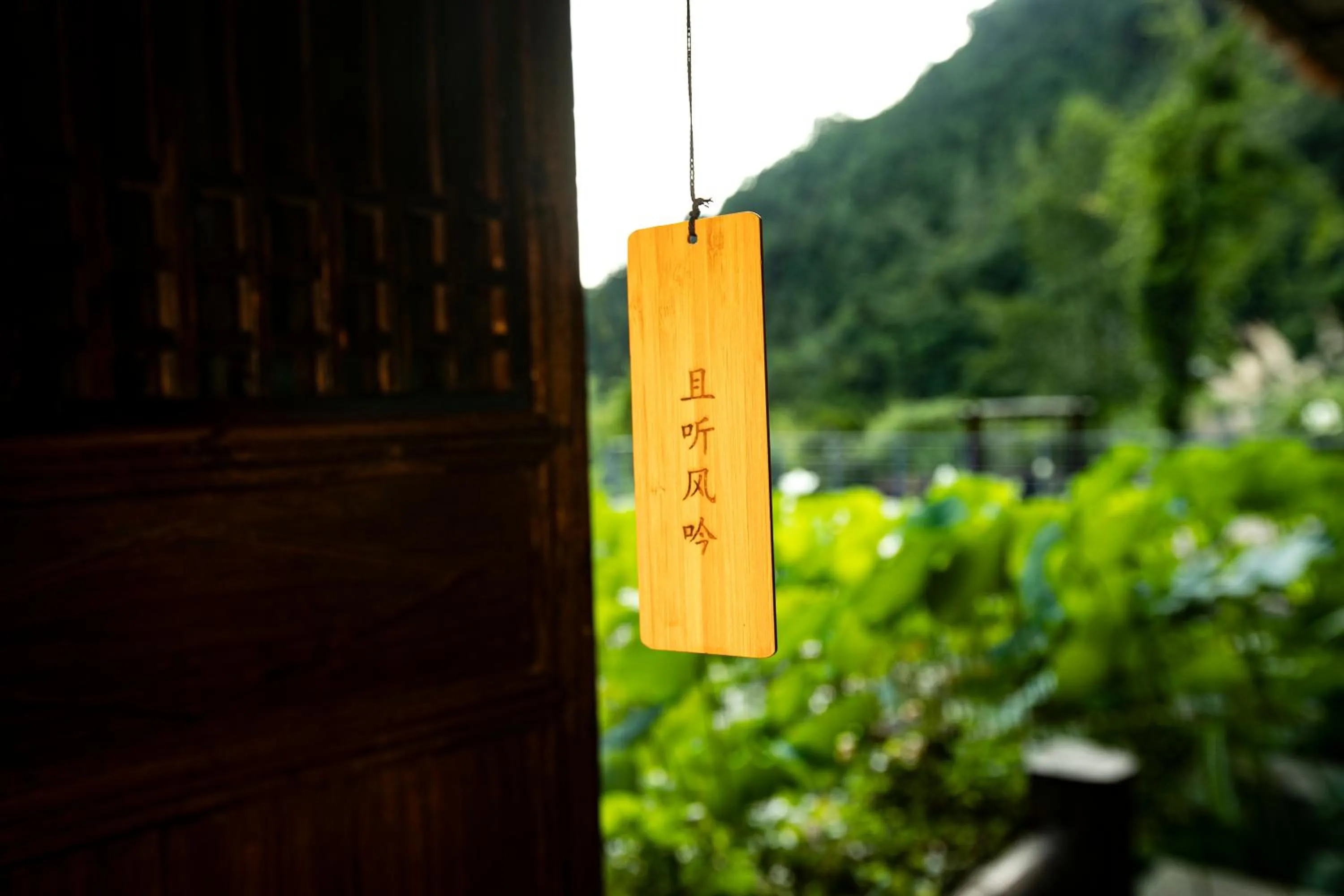 Property building in Homeward Mountain Resort