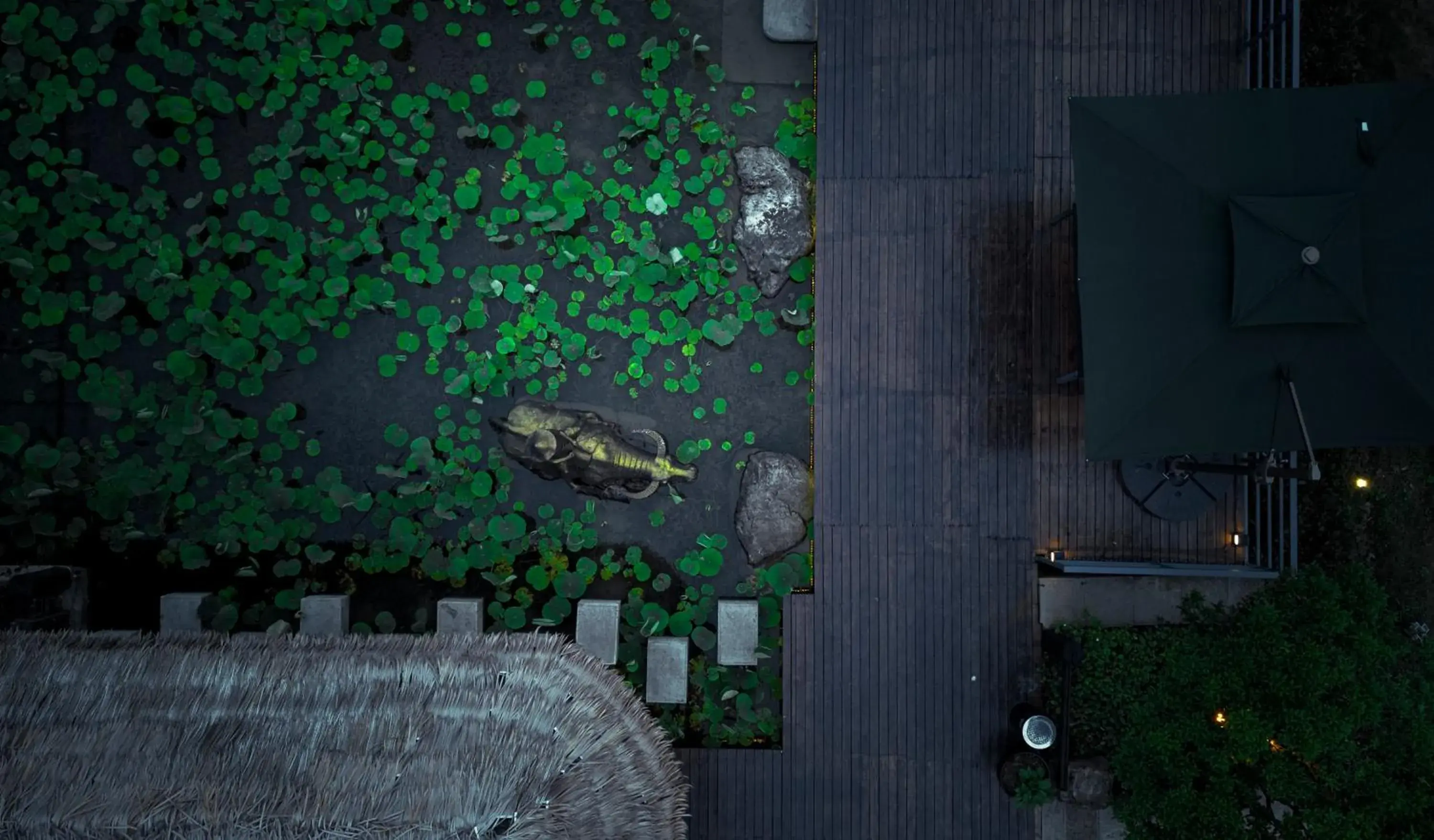 Garden view in Homeward Mountain Resort Garden view in Homeward Mountain Resort