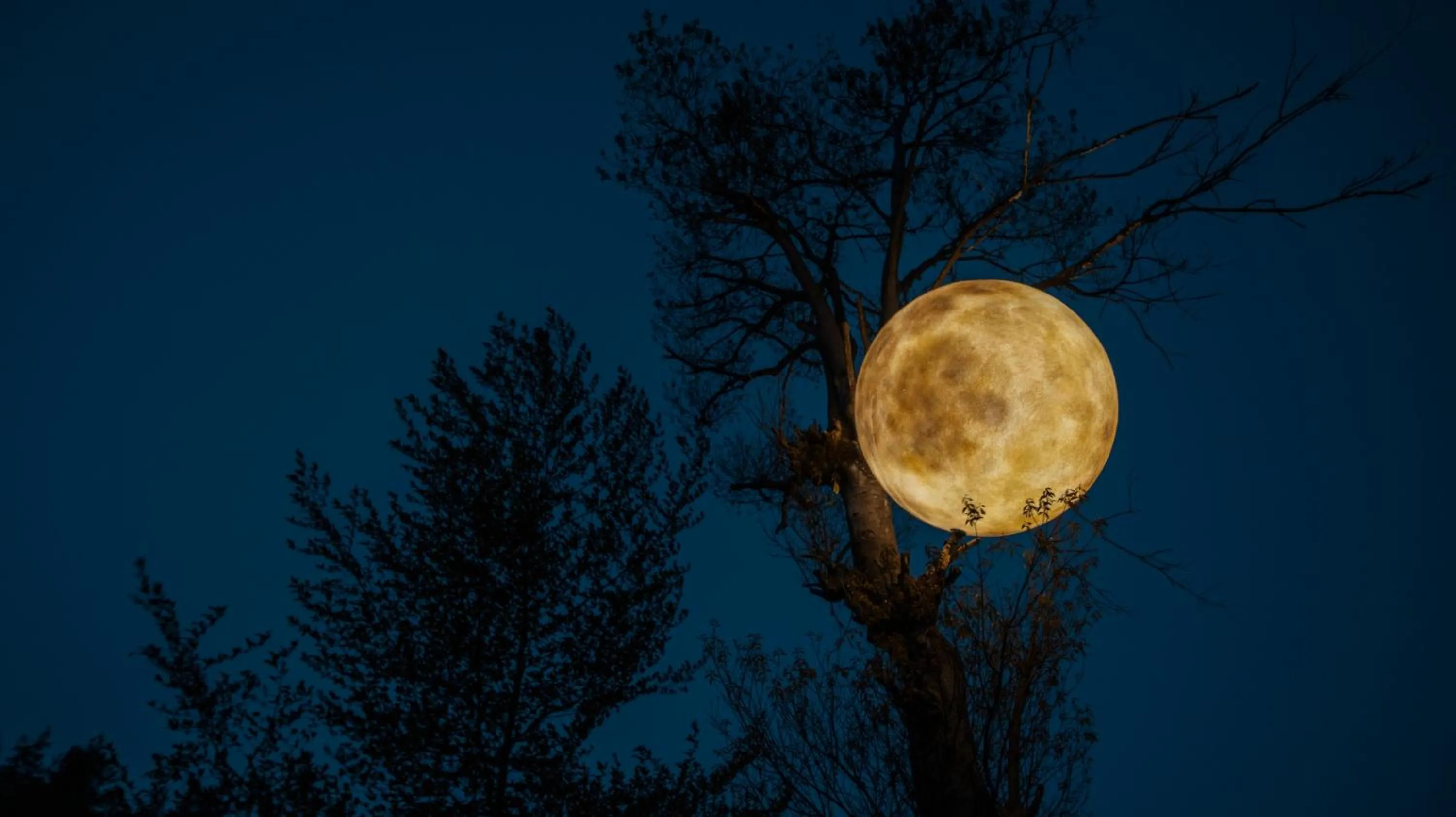 Night, Winter in Homeward Mountain Resort