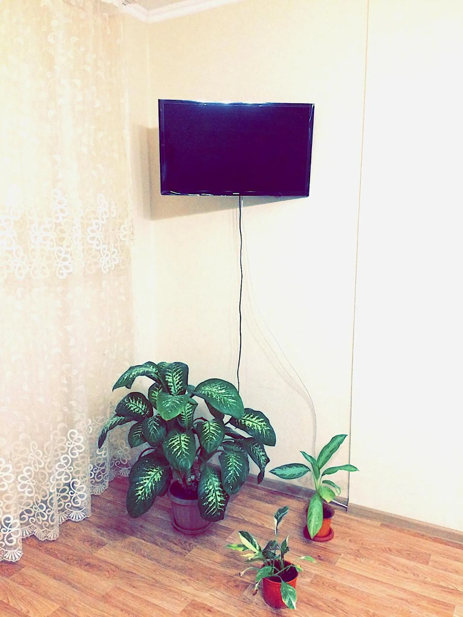 TV and multimedia in Apartments on Q. Batyr 40
