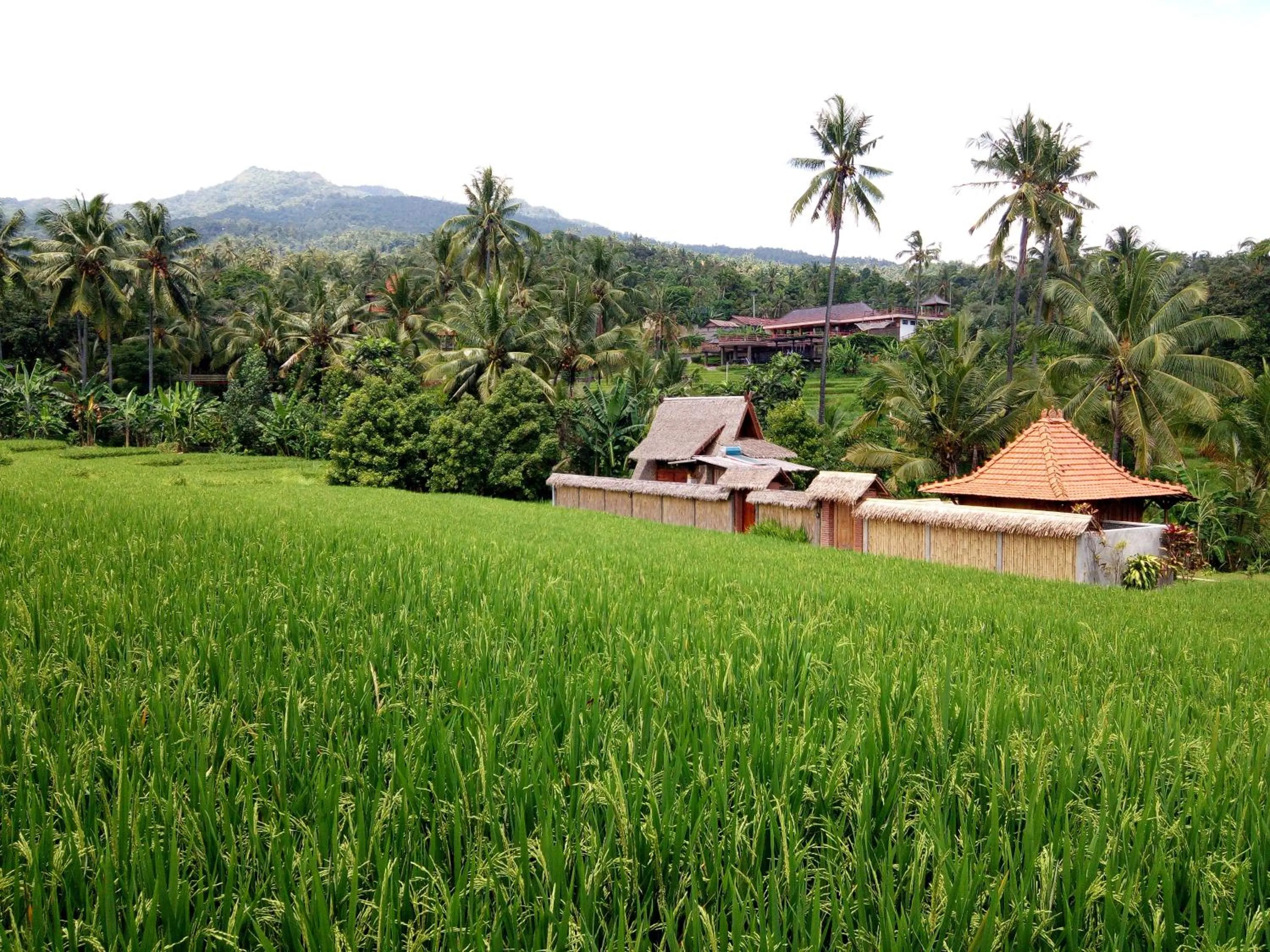 Property building in Uma Nirmala Aling-Aling