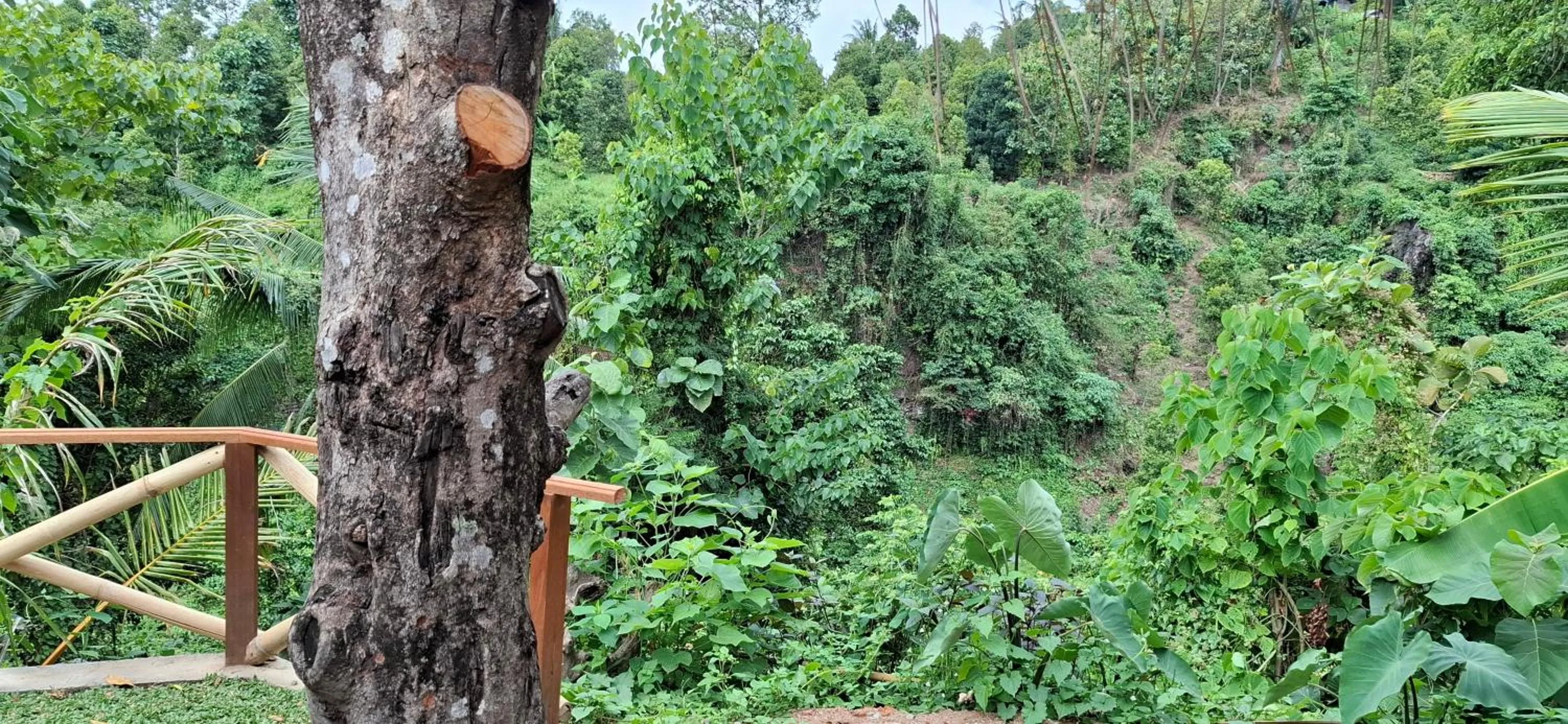 Uma Nirmala Aling-Aling