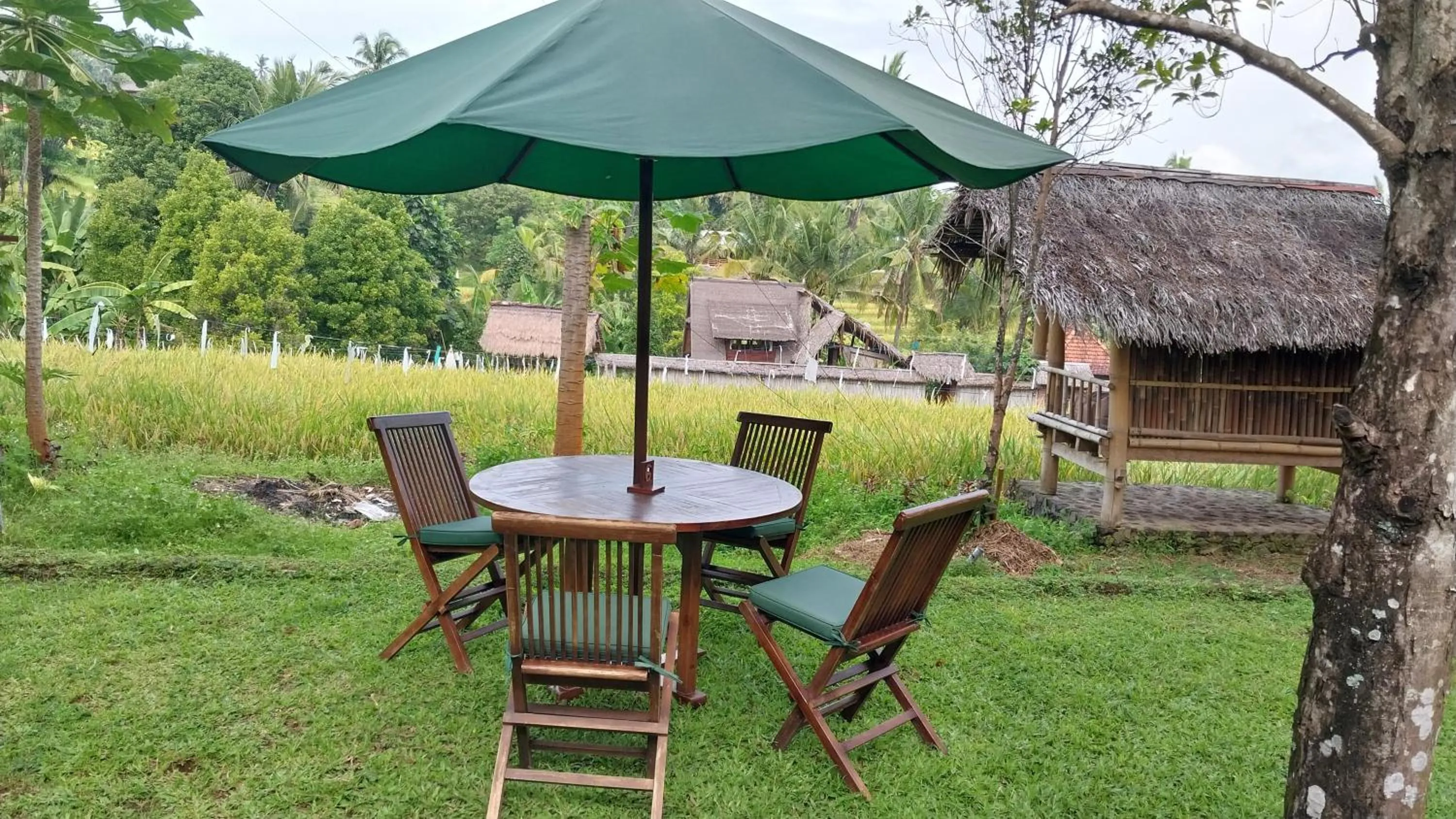 Restaurant/places to eat in Uma Nirmala Aling-Aling