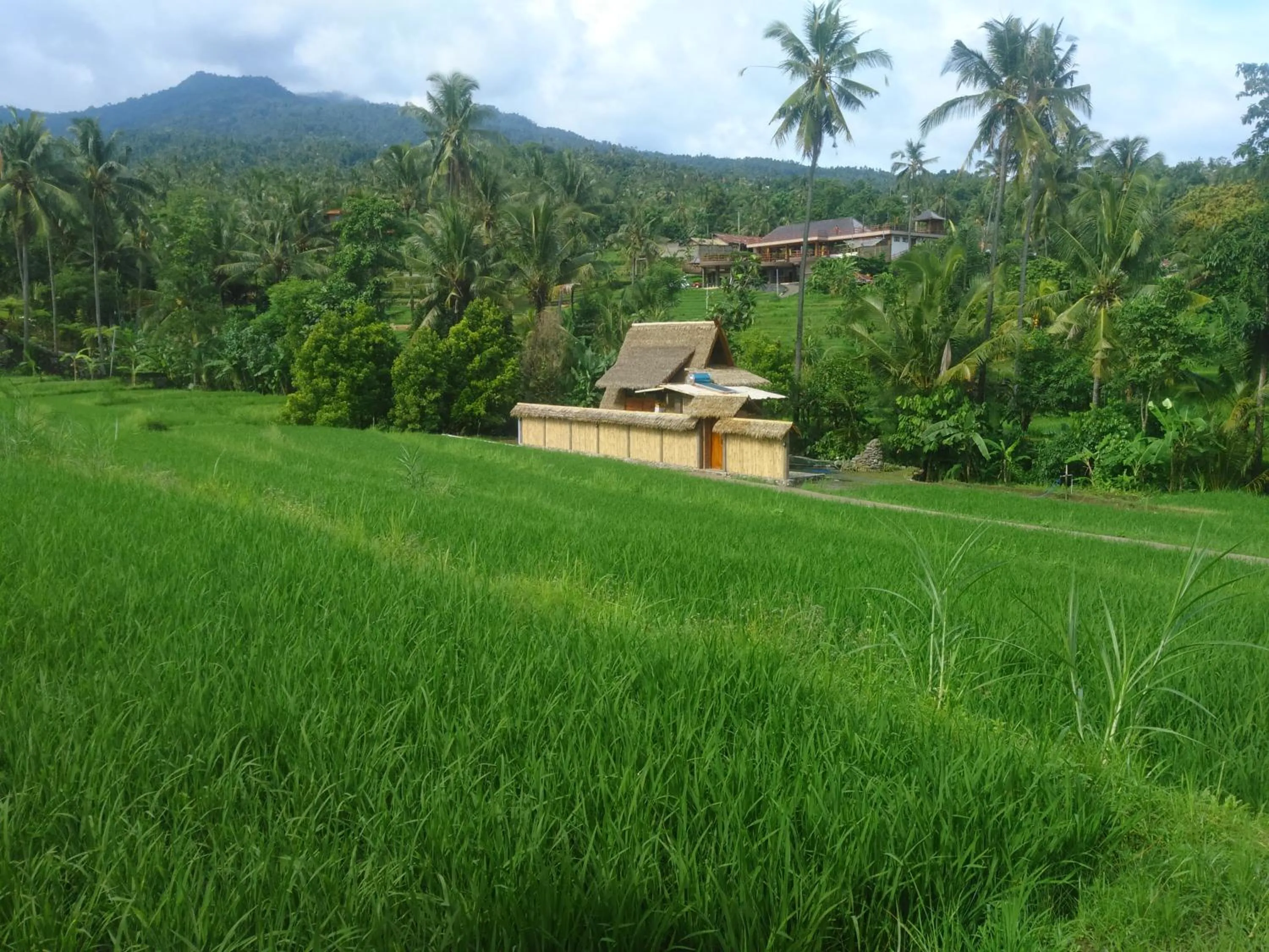 Property building in Uma Nirmala Aling-Aling